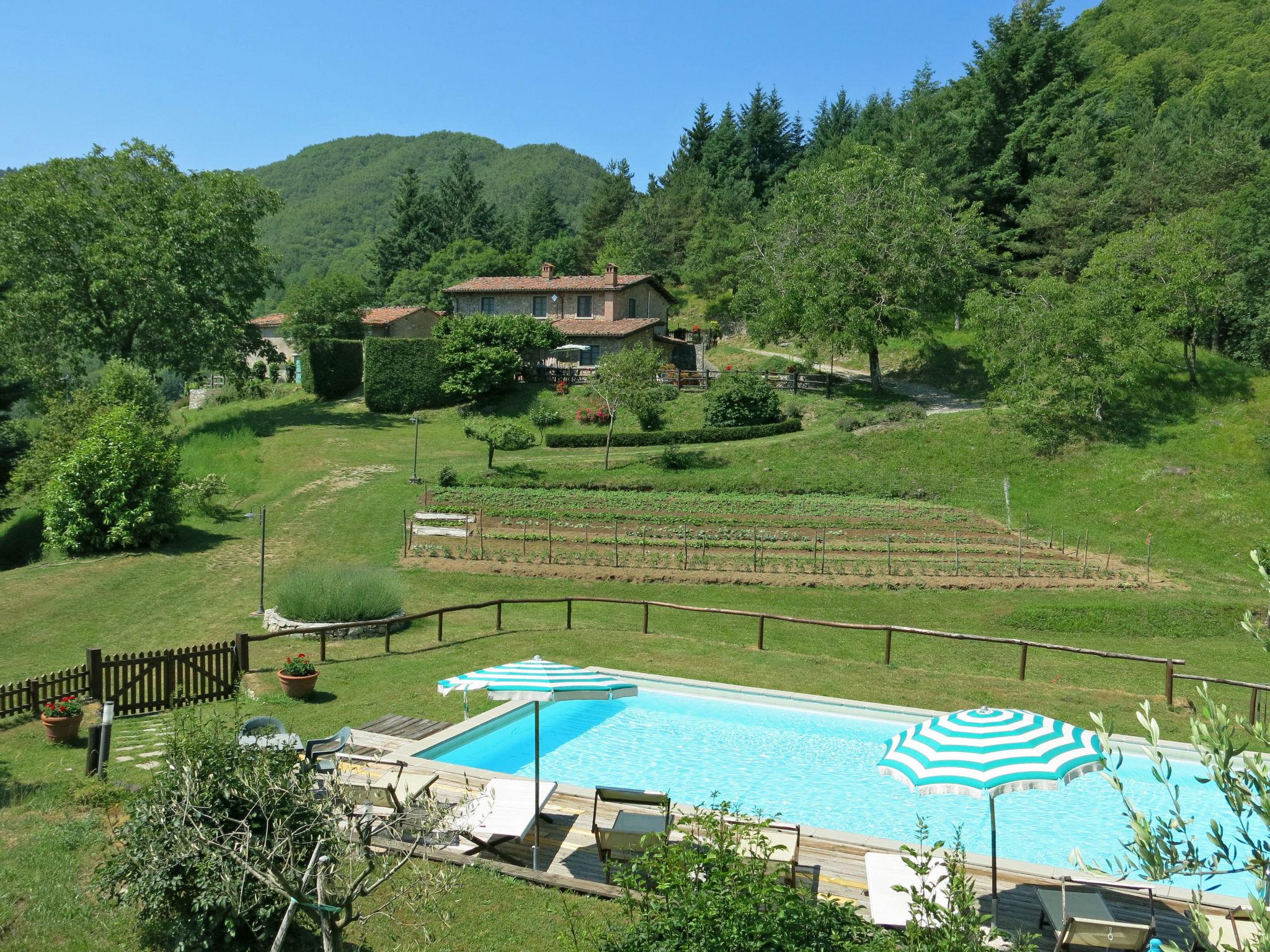 Photo 35 - Maison de 3 chambres à Molazzana avec piscine et jardin