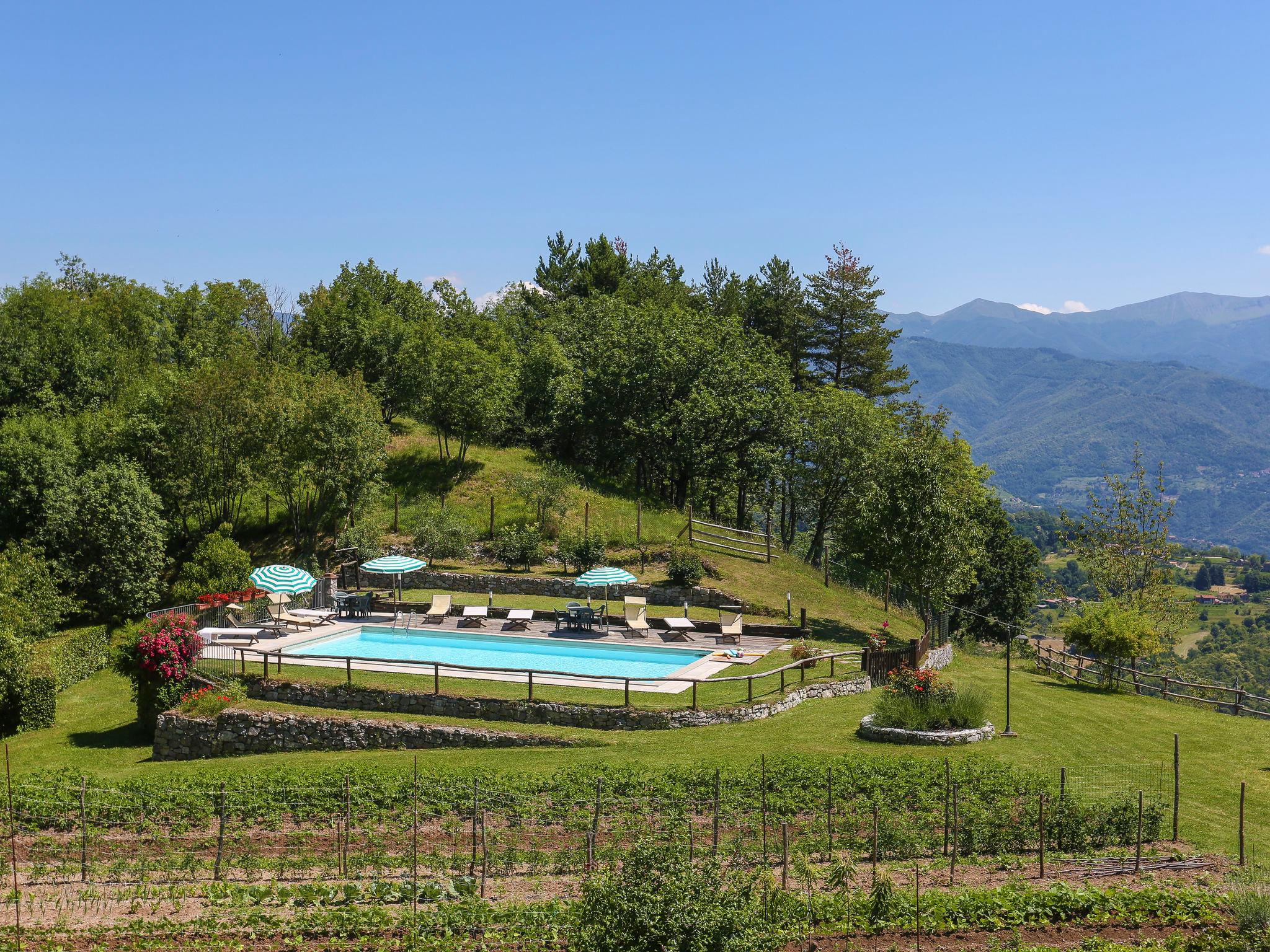 Photo 28 - Maison de 4 chambres à Molazzana avec piscine et jardin