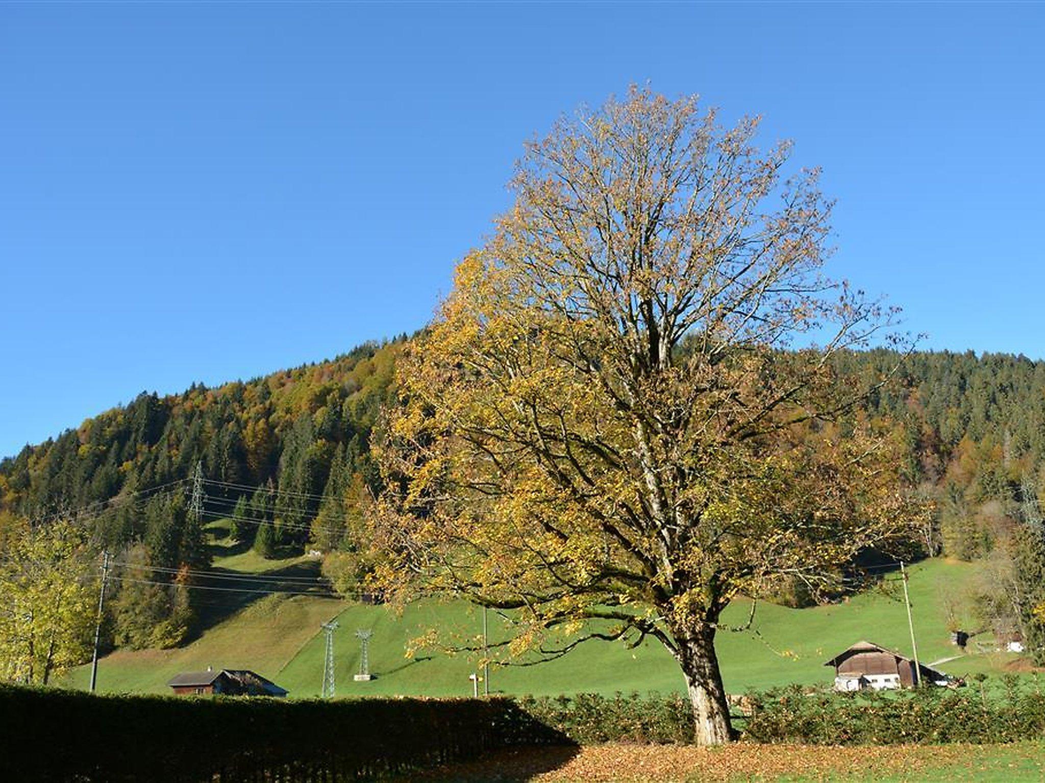 Photo 6 - 5 bedroom Apartment in Saanen