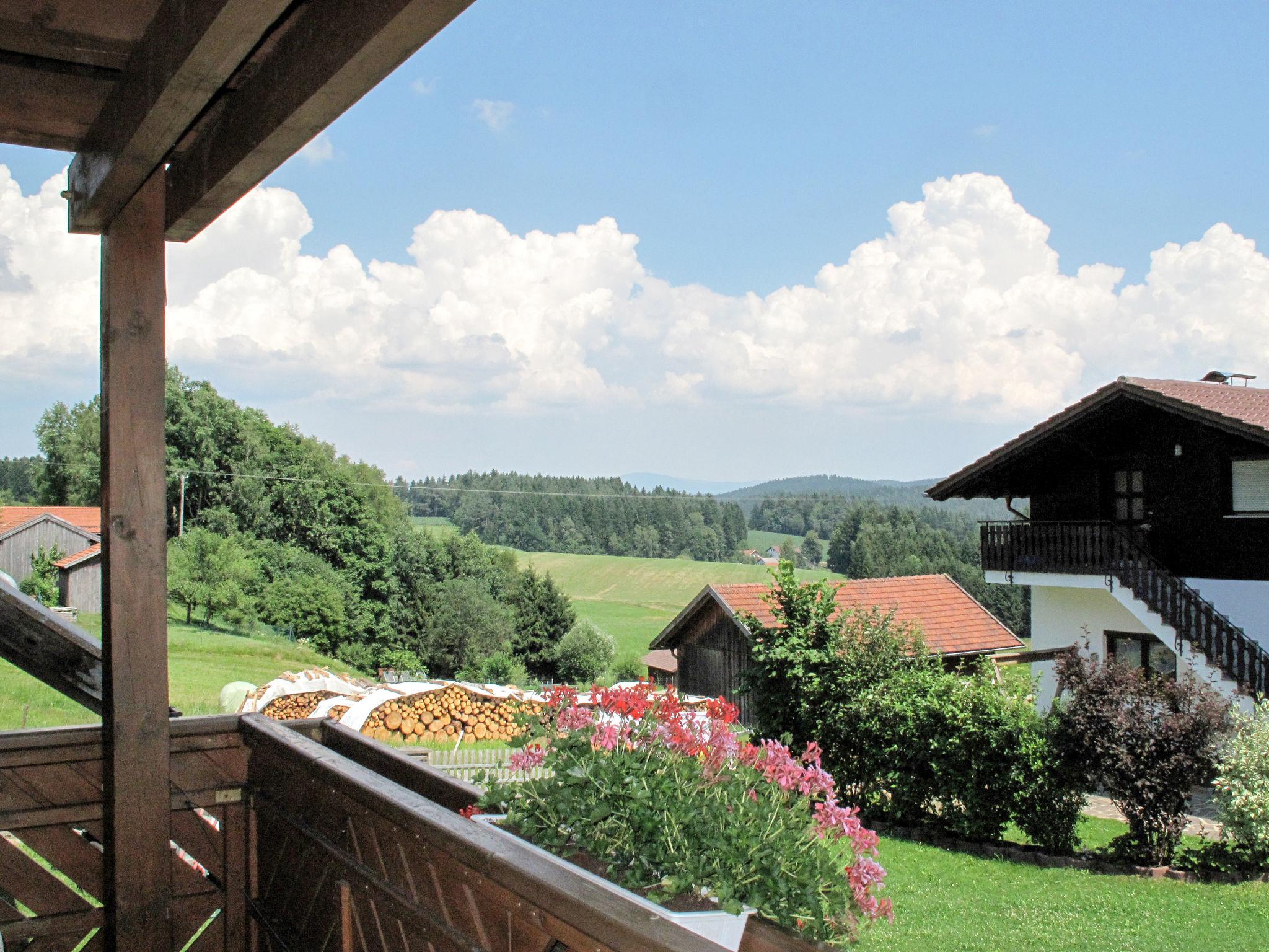 Foto 7 - Appartamento con 2 camere da letto a Bischofsmais con giardino e vista sulle montagne