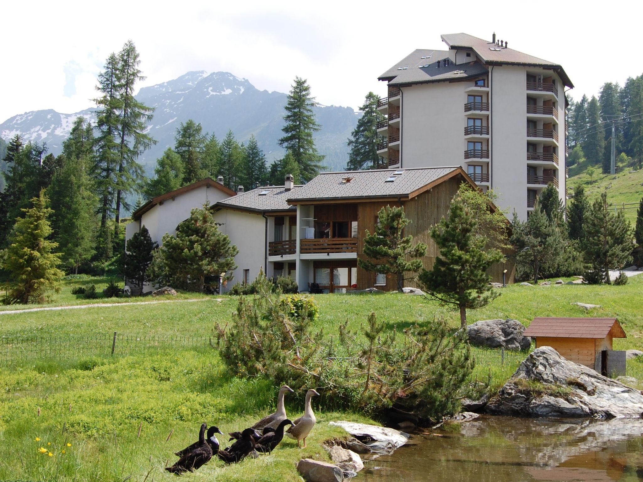 Photo 33 - Apartment in Nendaz with garden and mountain view