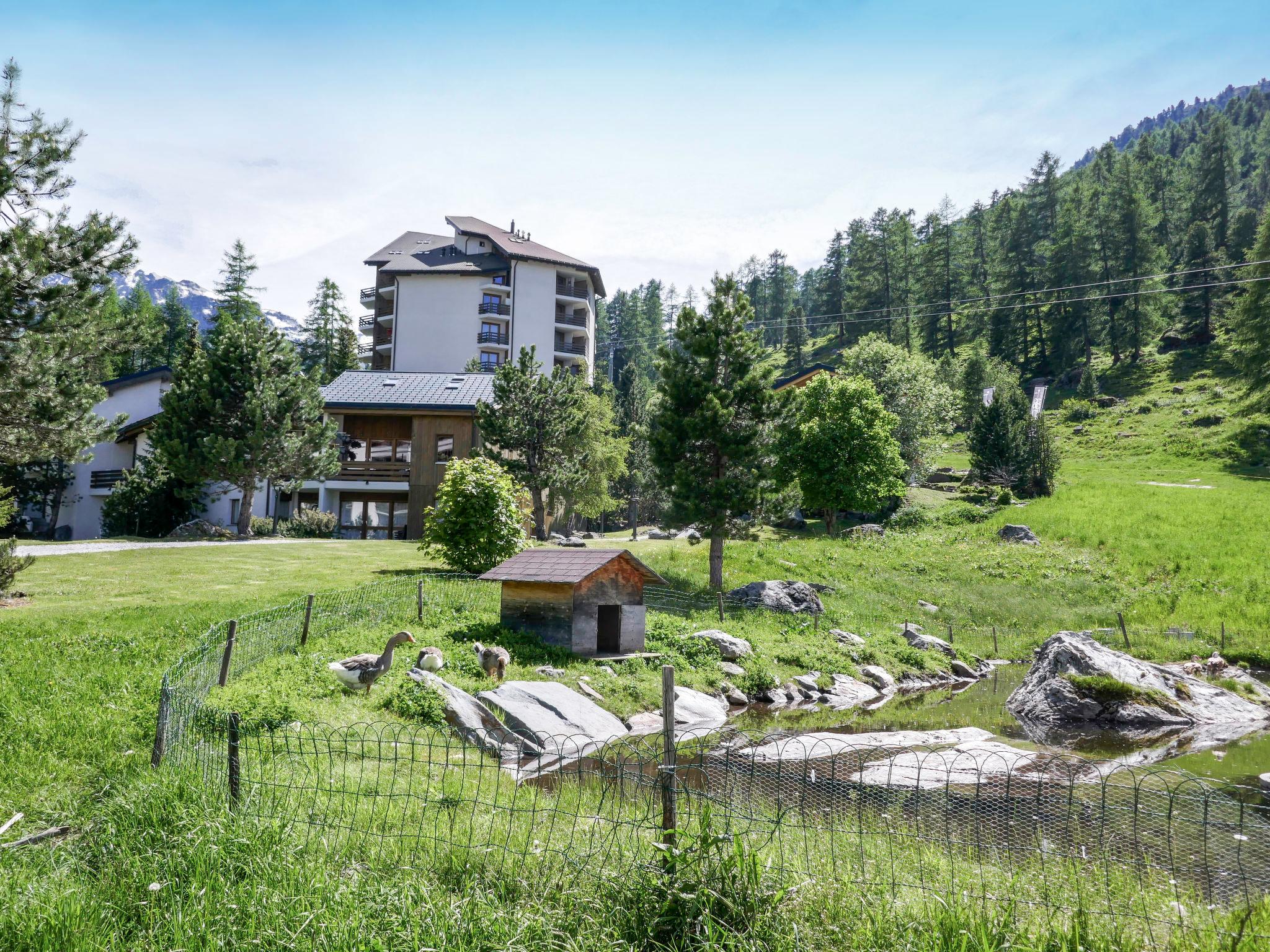 Foto 20 - Apartamento de 1 habitación en Nendaz con jardín y vistas a la montaña