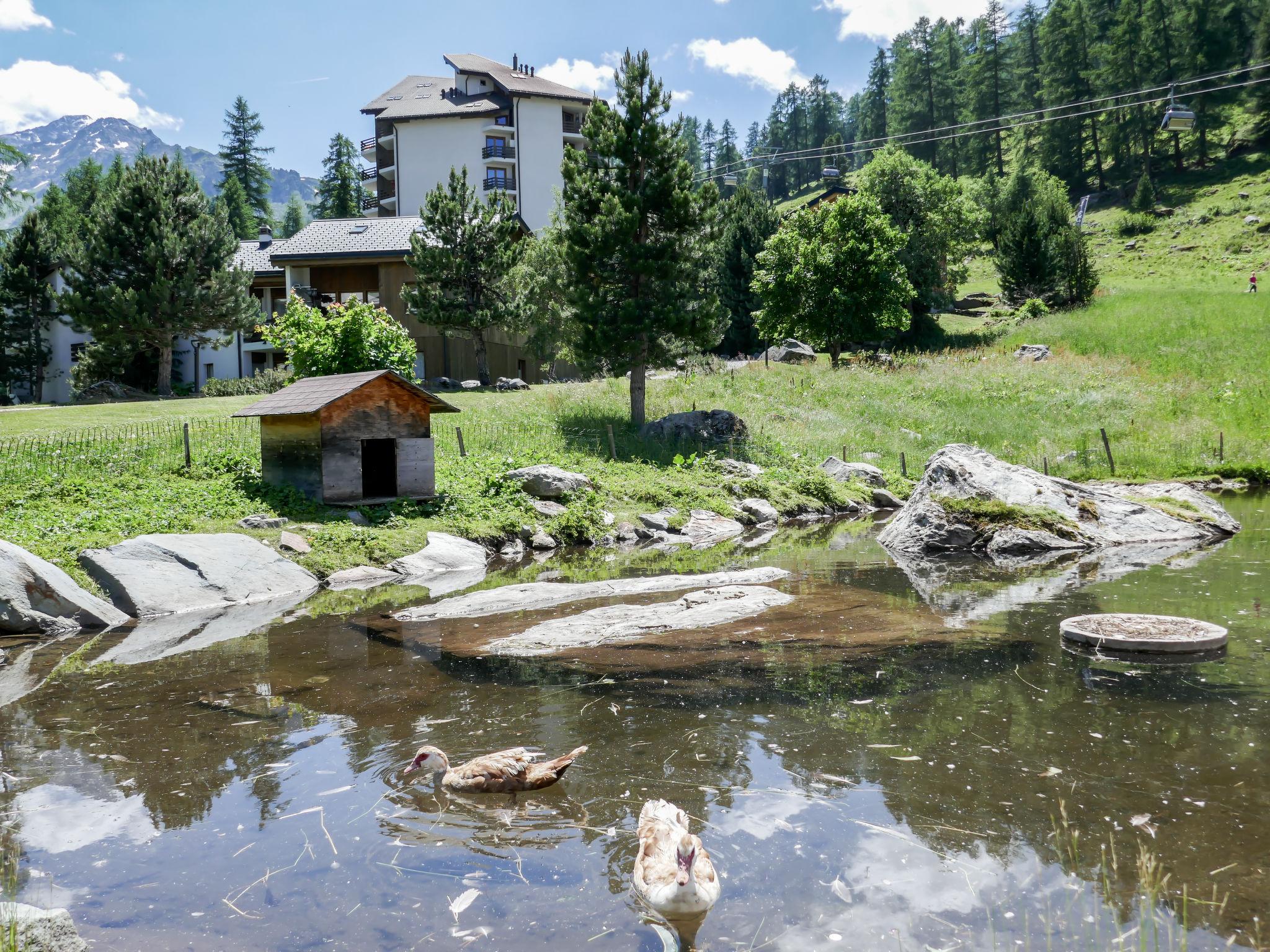 Foto 26 - Apartamento de 1 quarto em Nendaz com jardim e vista para a montanha