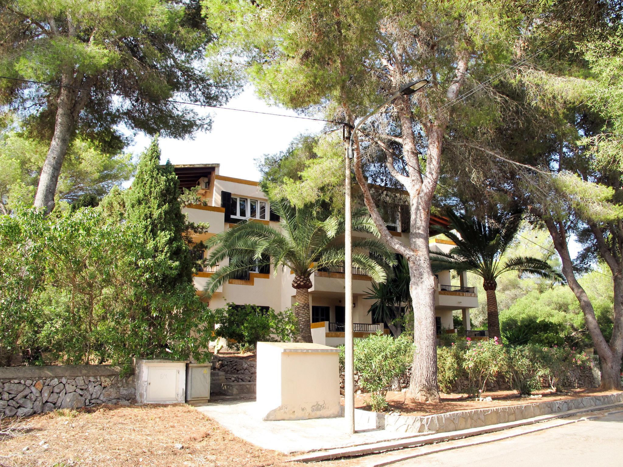 Photo 18 - Appartement de 2 chambres à Manacor avec jardin et terrasse