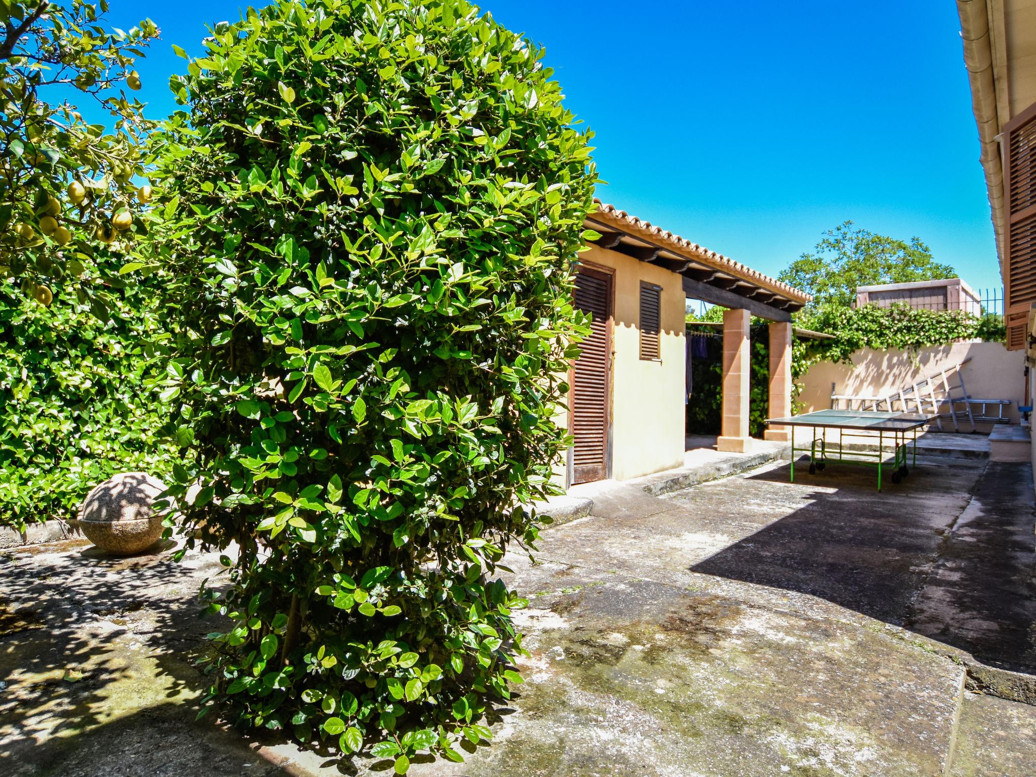 Foto 53 - Casa de 5 habitaciones en Lloseta con piscina privada y jardín