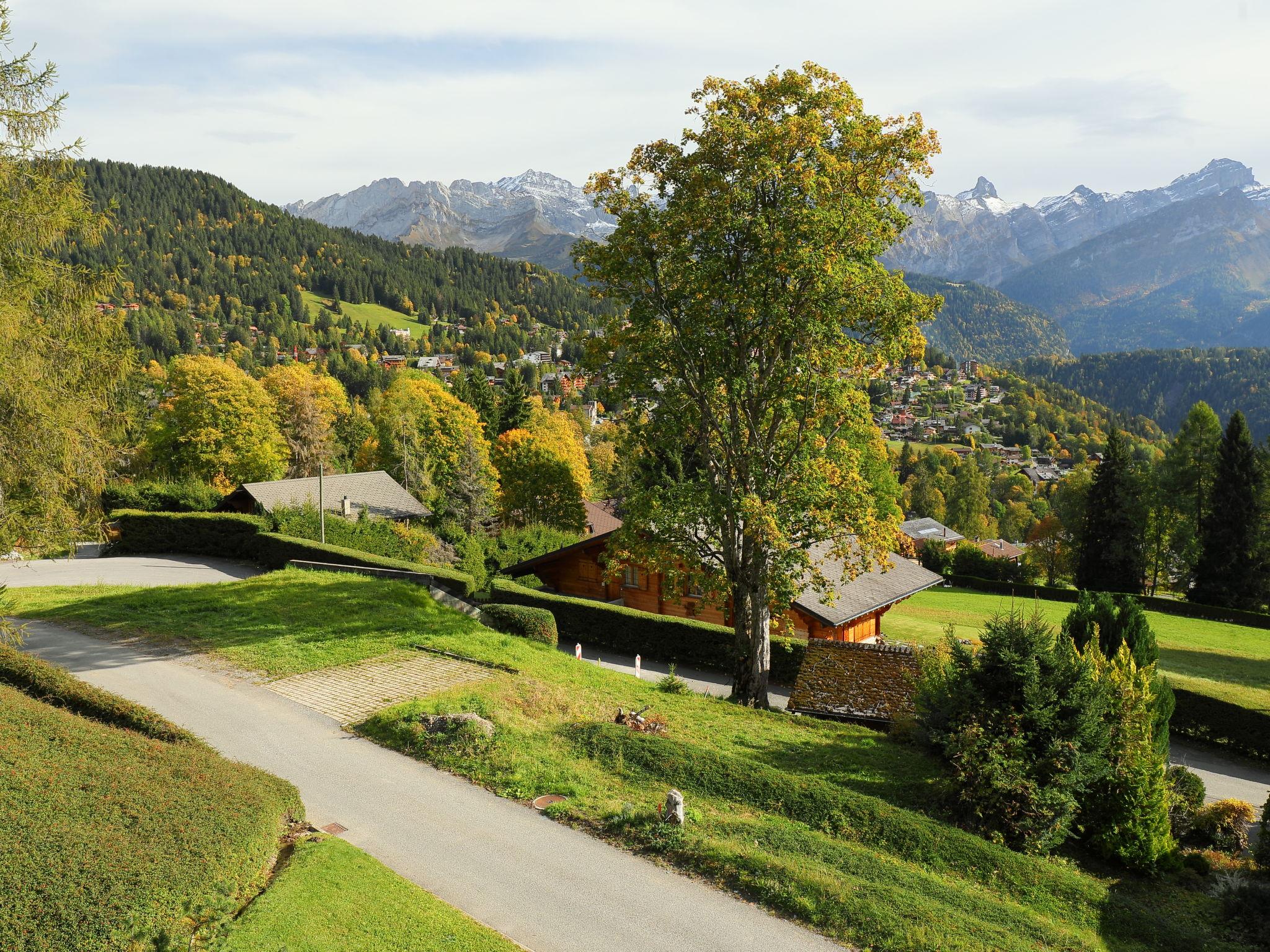 Photo 35 - Maison de 4 chambres à Ollon avec jardin et vues sur la montagne