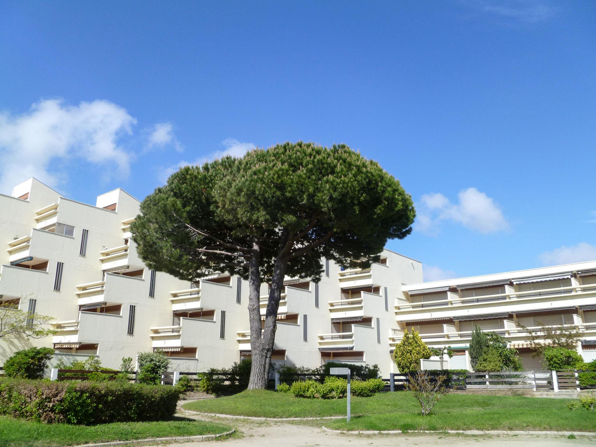 Photo 20 - 1 bedroom Apartment in Le Grau-du-Roi with terrace and sea view