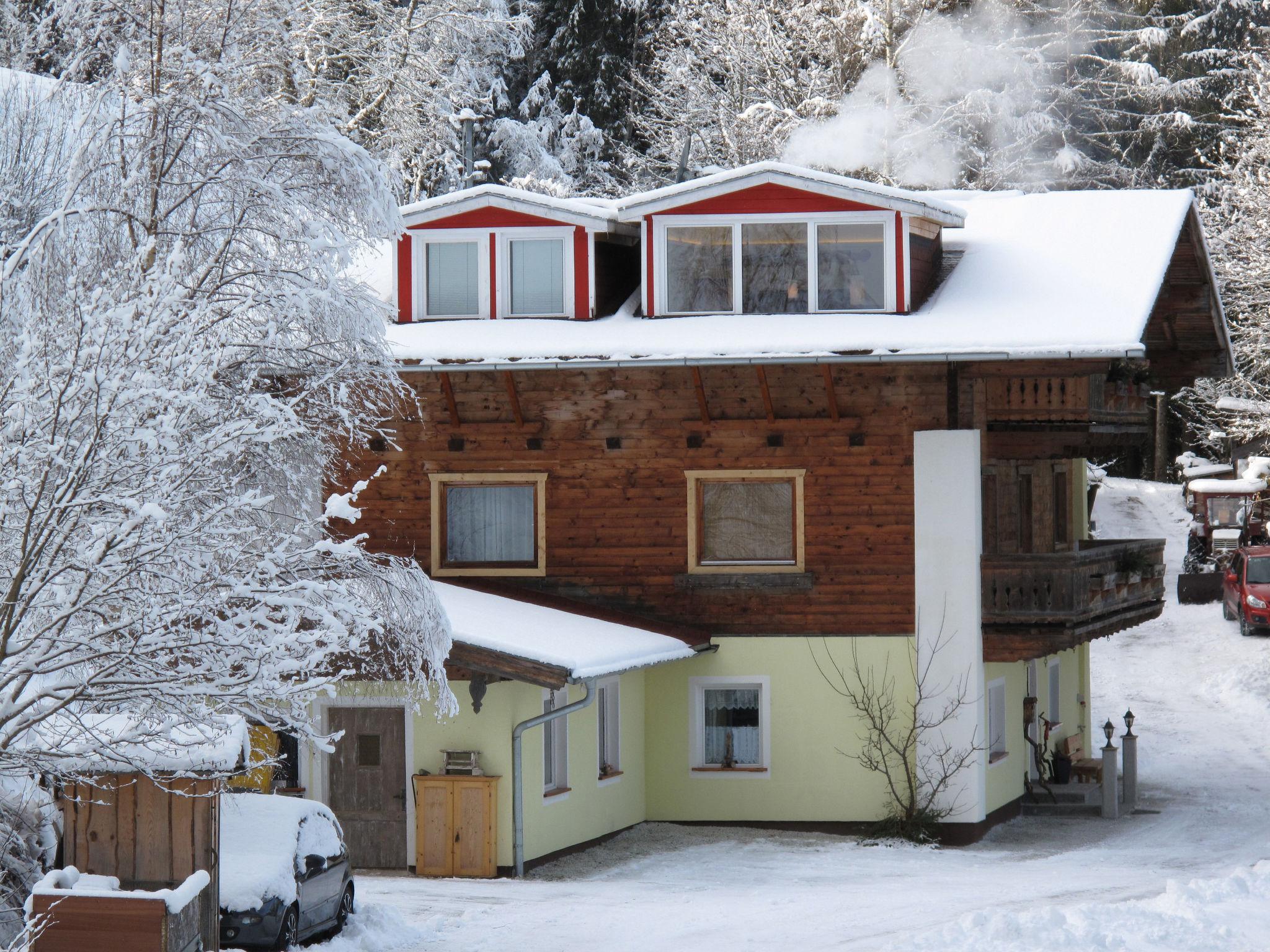 Foto 25 - Appartamento con 3 camere da letto a Hollersbach im Pinzgau con giardino e vista sulle montagne