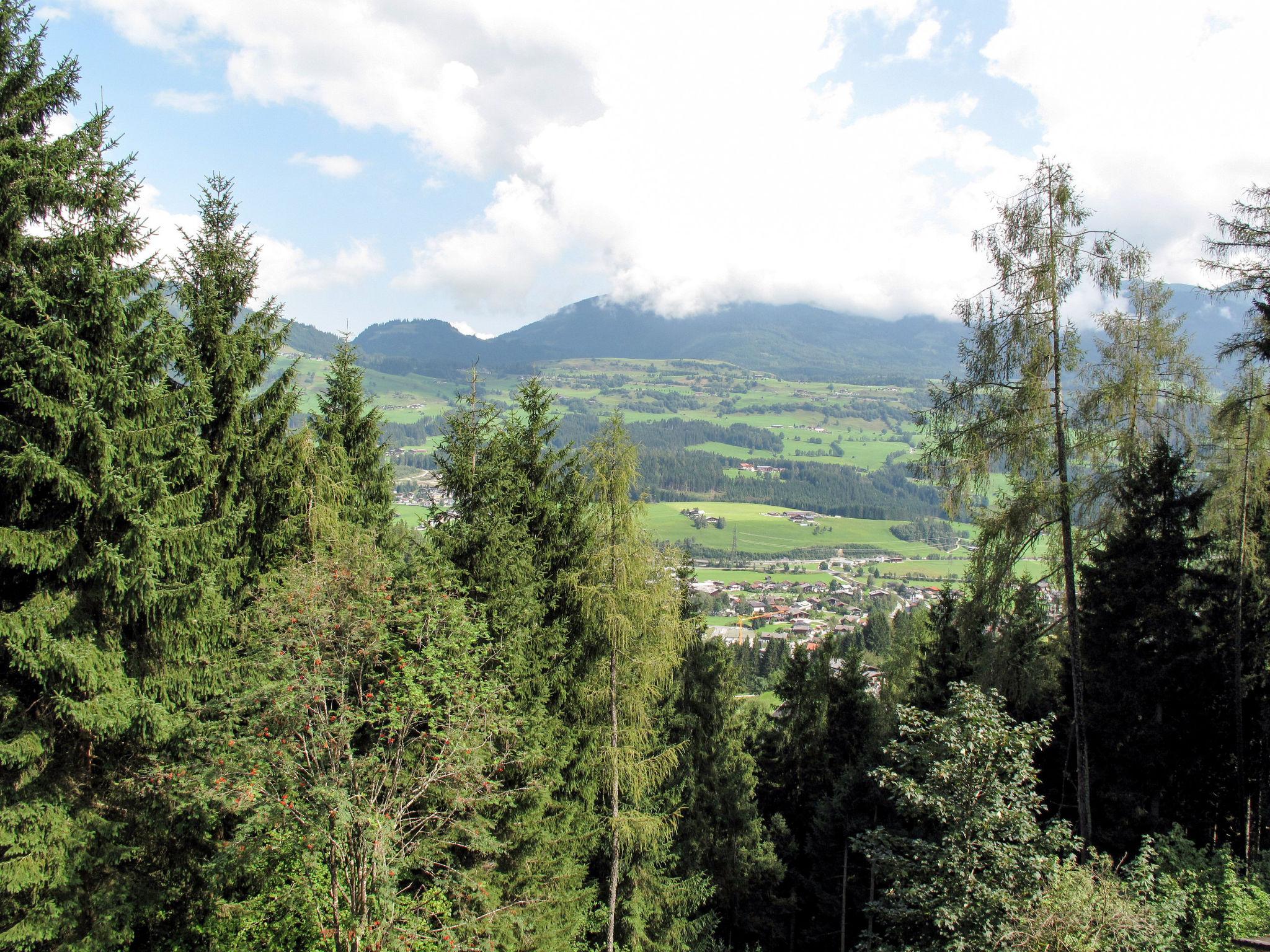 Foto 20 - Apartamento de 3 habitaciones en Hollersbach im Pinzgau con jardín y vistas a la montaña