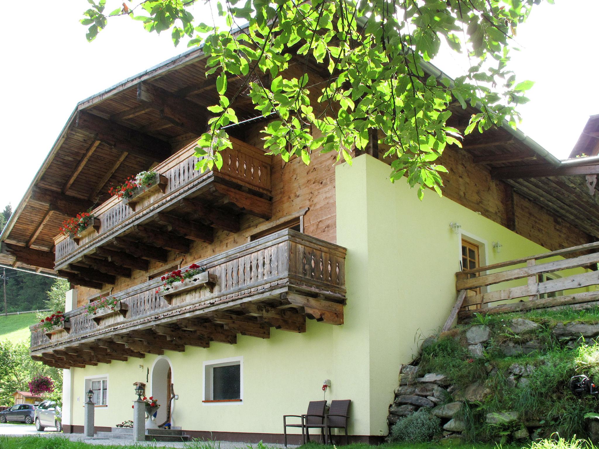 Photo 6 - Appartement de 3 chambres à Hollersbach im Pinzgau avec jardin et vues sur la montagne