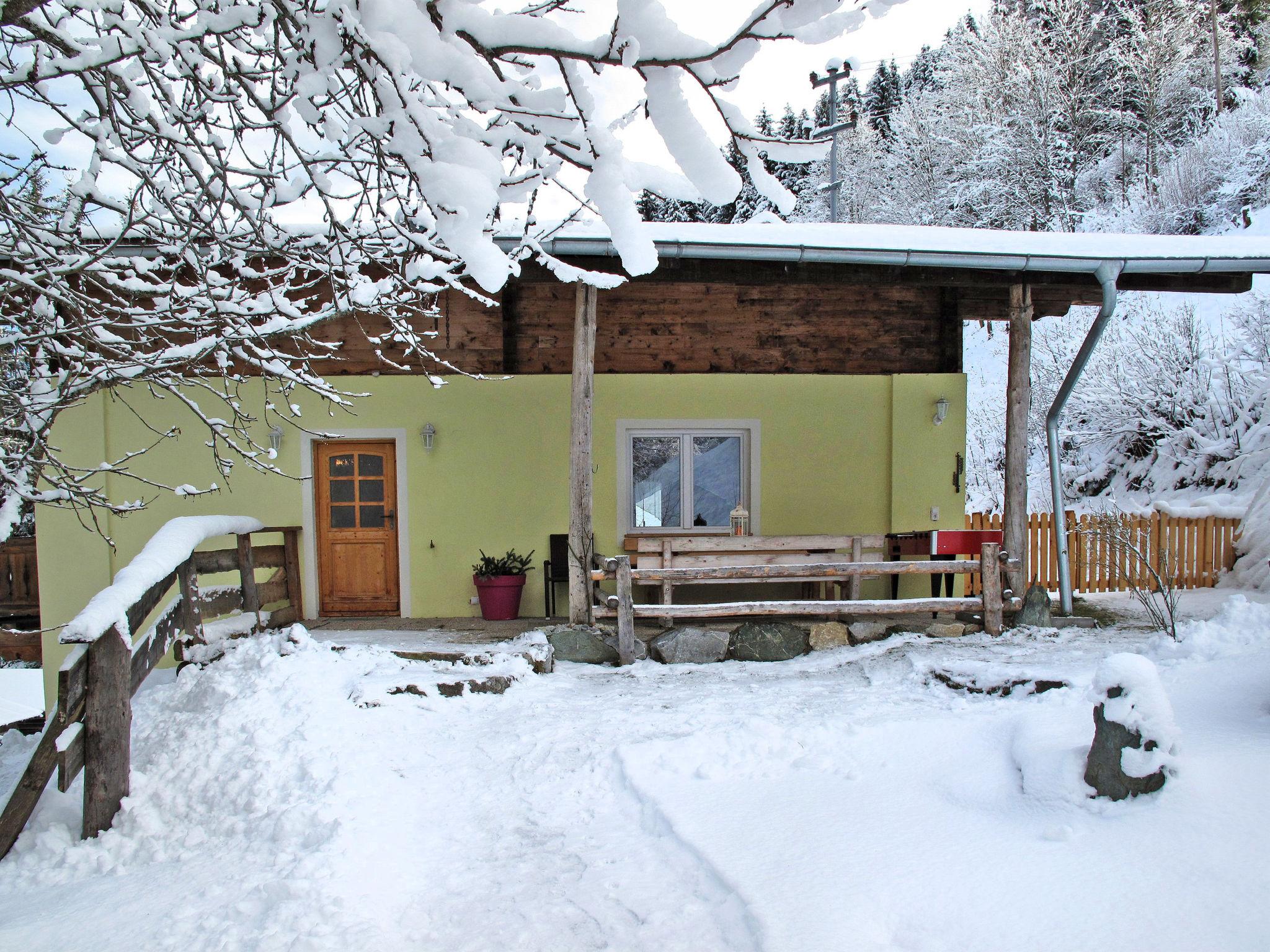 Foto 23 - Appartamento con 3 camere da letto a Hollersbach im Pinzgau con giardino e vista sulle montagne