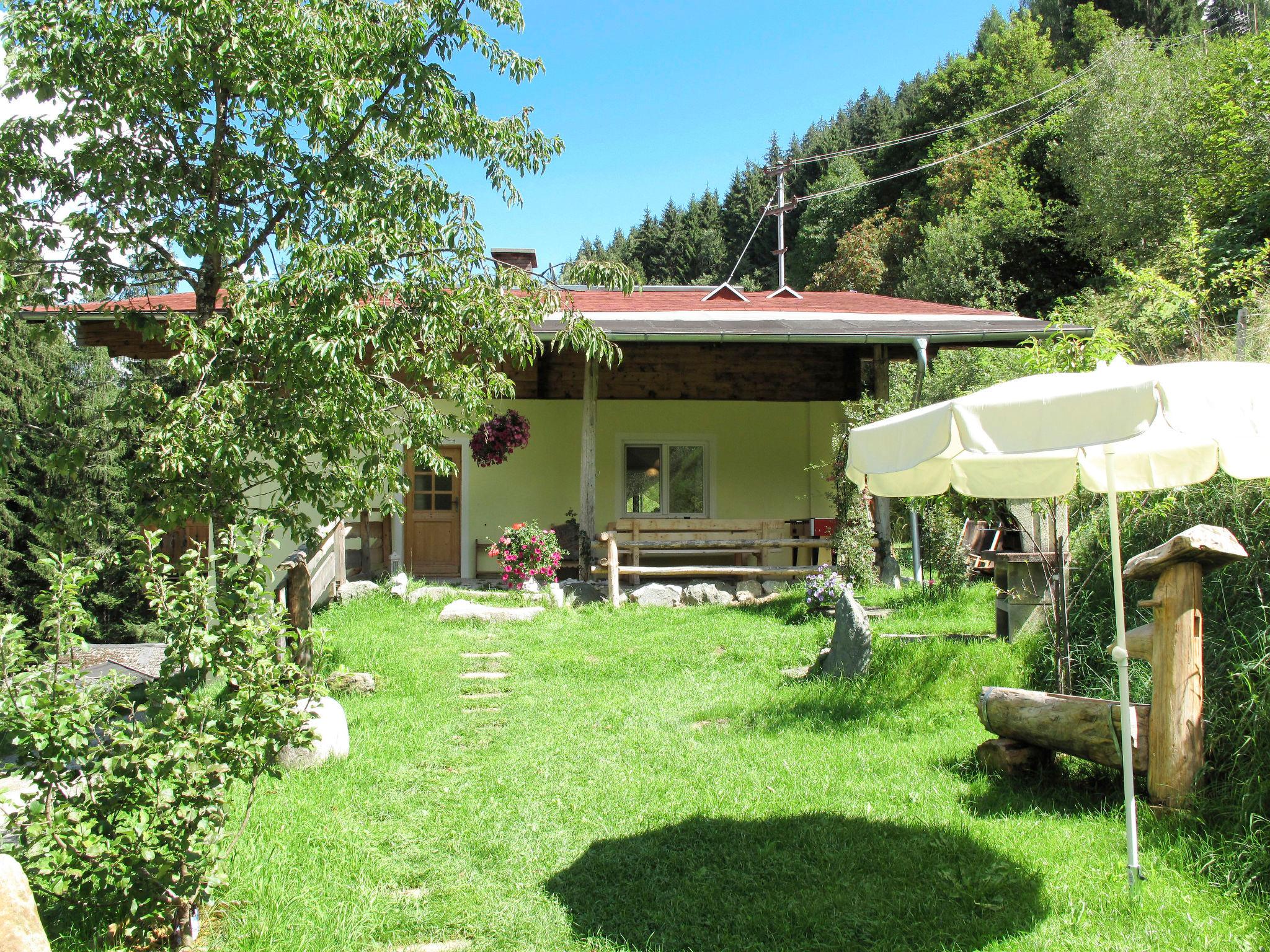 Foto 18 - Apartamento de 3 habitaciones en Hollersbach im Pinzgau con jardín y vistas a la montaña