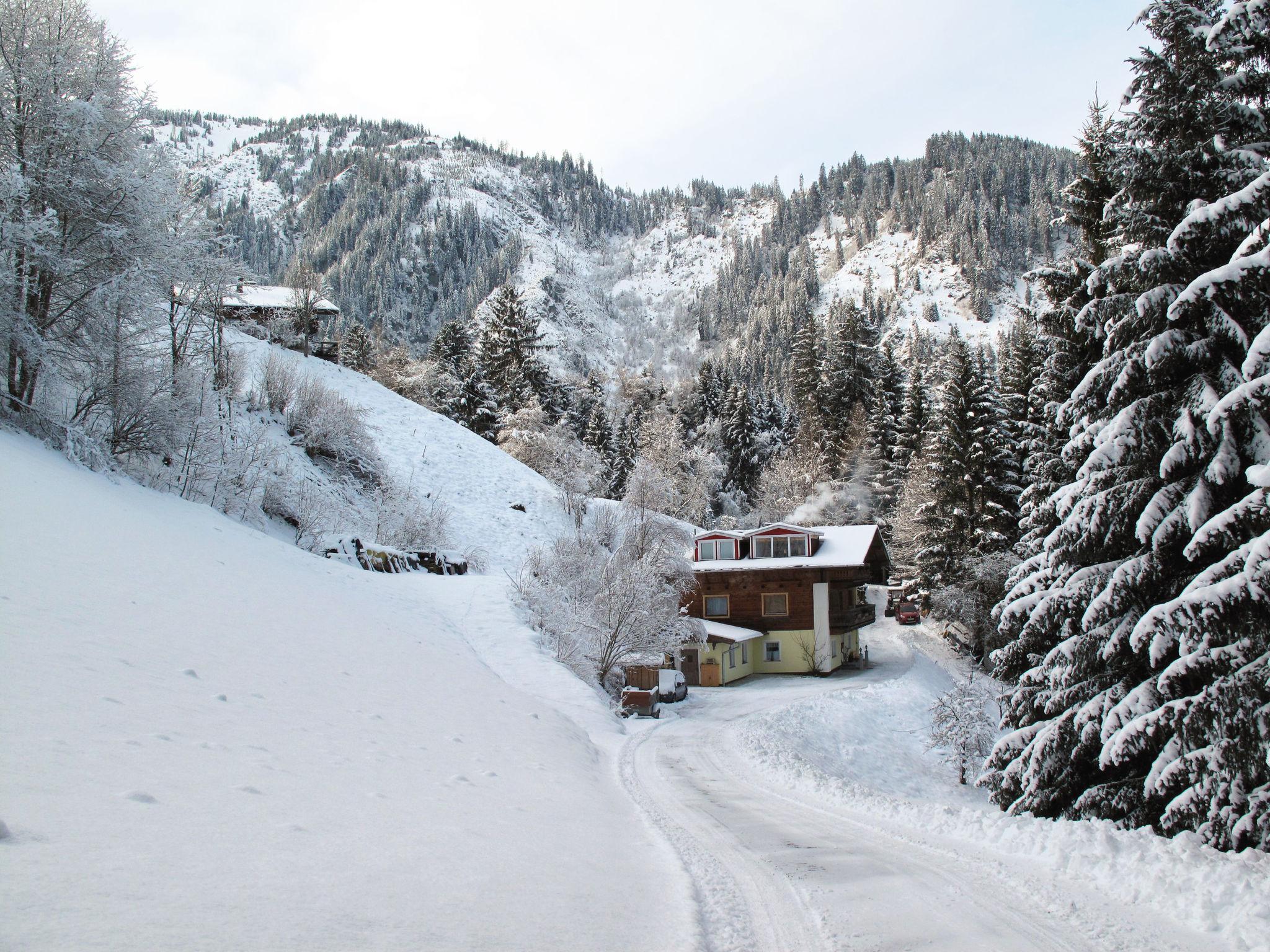 Photo 24 - Appartement de 3 chambres à Hollersbach im Pinzgau avec jardin et vues sur la montagne