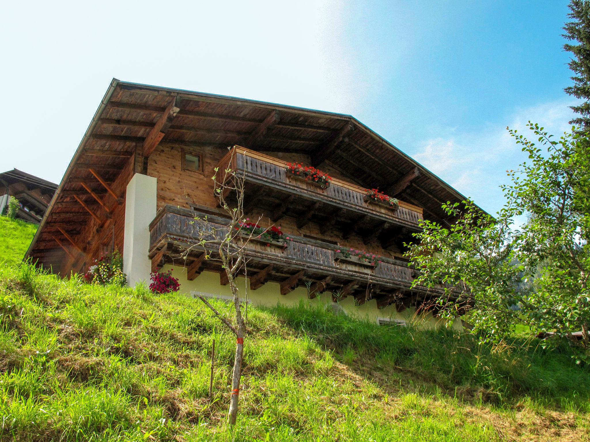 Foto 17 - Apartamento de 3 quartos em Hollersbach im Pinzgau com jardim e vista para a montanha