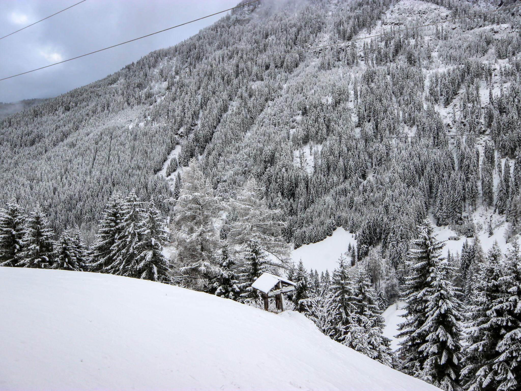 Photo 28 - Appartement de 5 chambres à Kappl avec jardin et vues sur la montagne