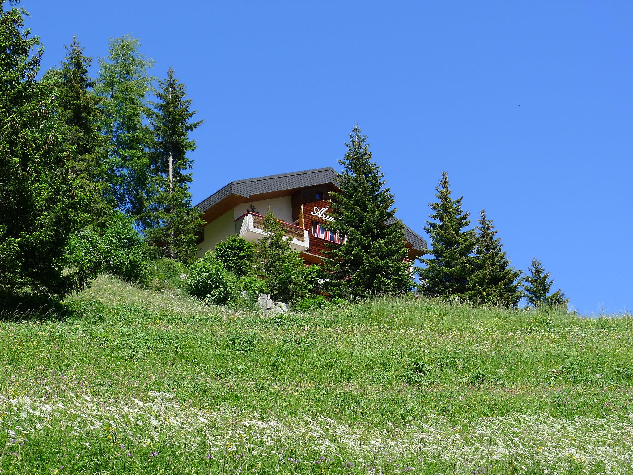 Foto 10 - Apartamento de 1 habitación en Leukerbad con vistas a la montaña