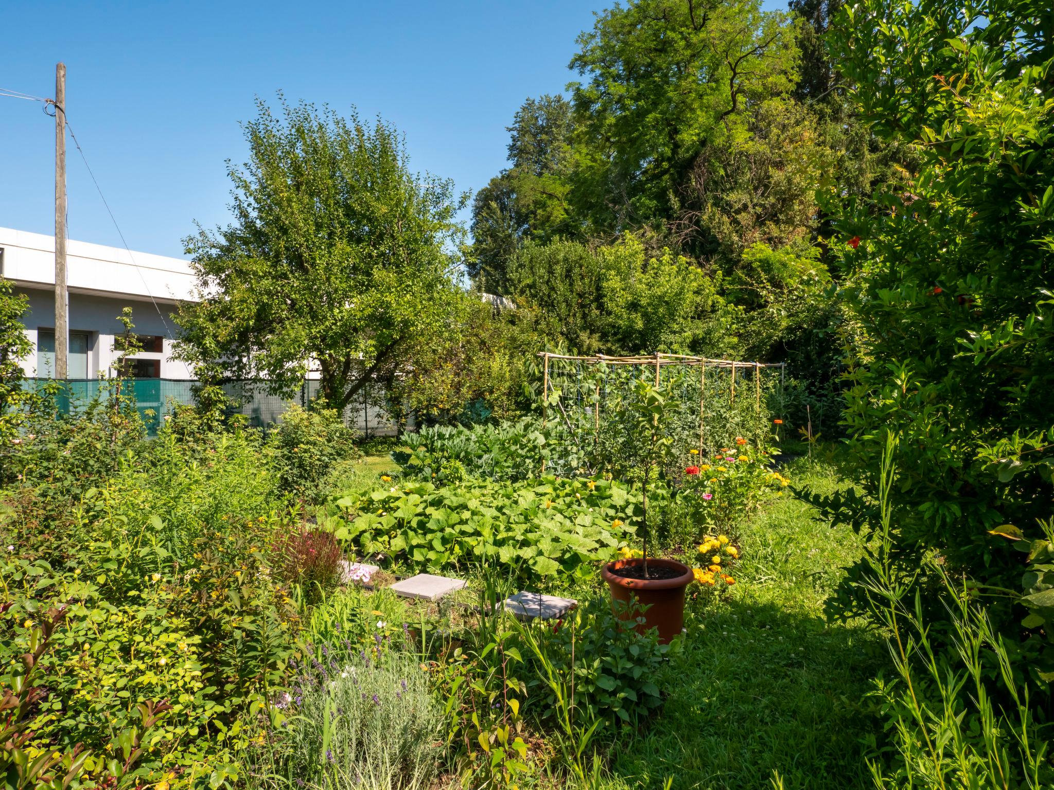 Foto 28 - Casa de 2 habitaciones en San Daniele del Friuli con jardín y terraza
