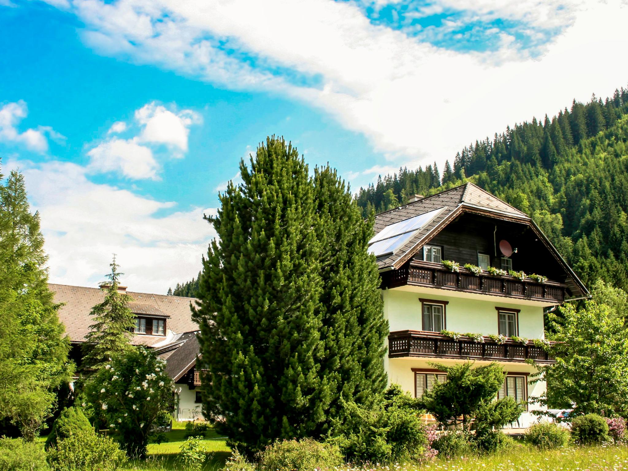 Foto 1 - Appartamento con 1 camera da letto a Irdning-Donnersbachtal con giardino e vista sulle montagne