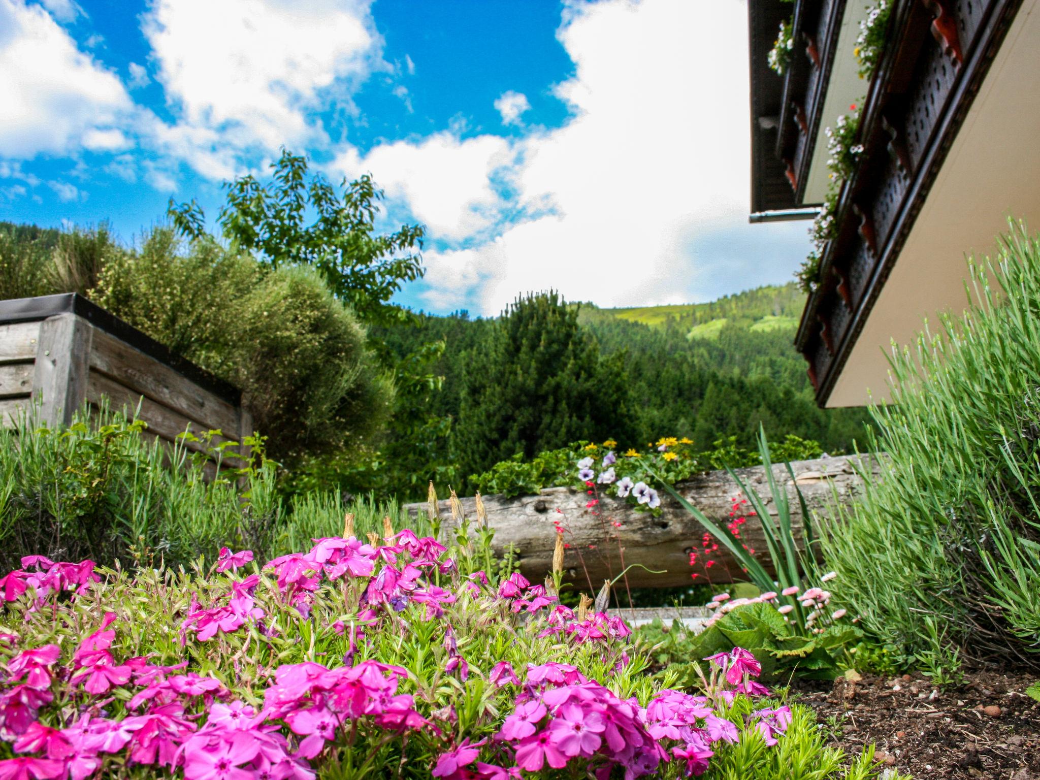 Photo 11 - Appartement de 1 chambre à Irdning-Donnersbachtal avec jardin et terrasse