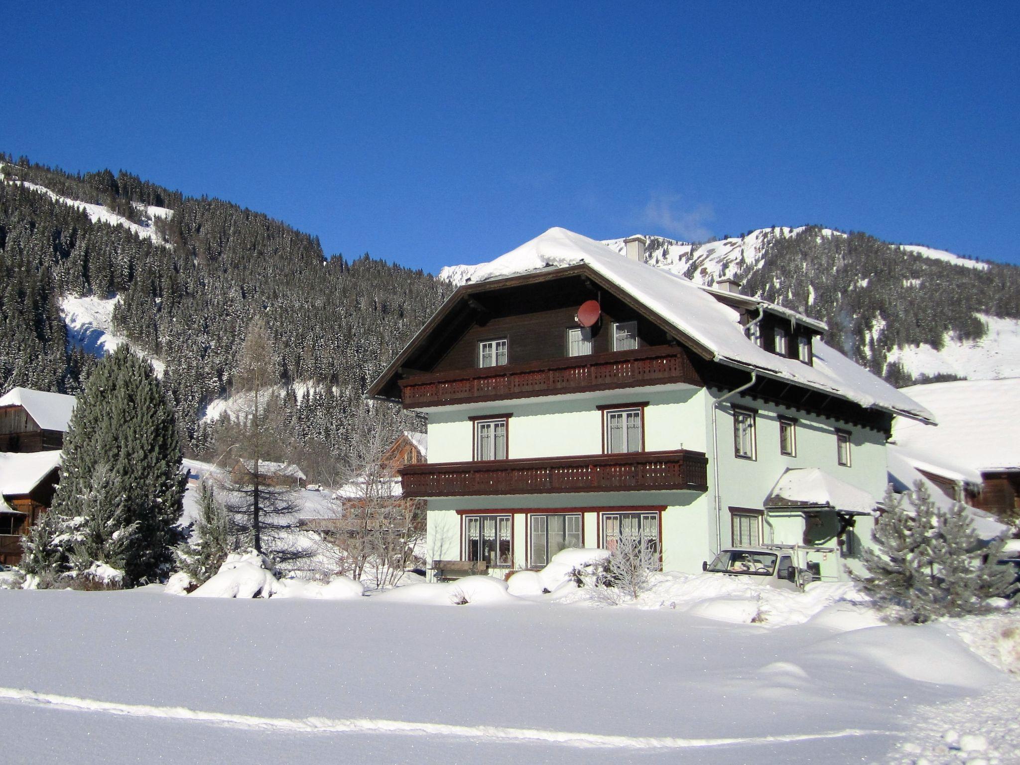 Photo 18 - Appartement de 1 chambre à Irdning-Donnersbachtal avec jardin et vues sur la montagne