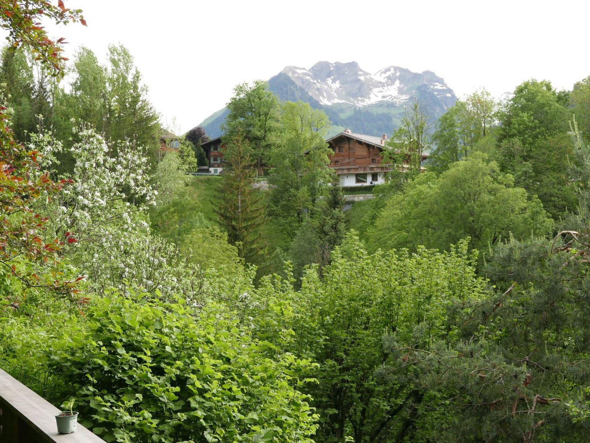 Photo 13 - 7 bedroom Apartment in Saanen