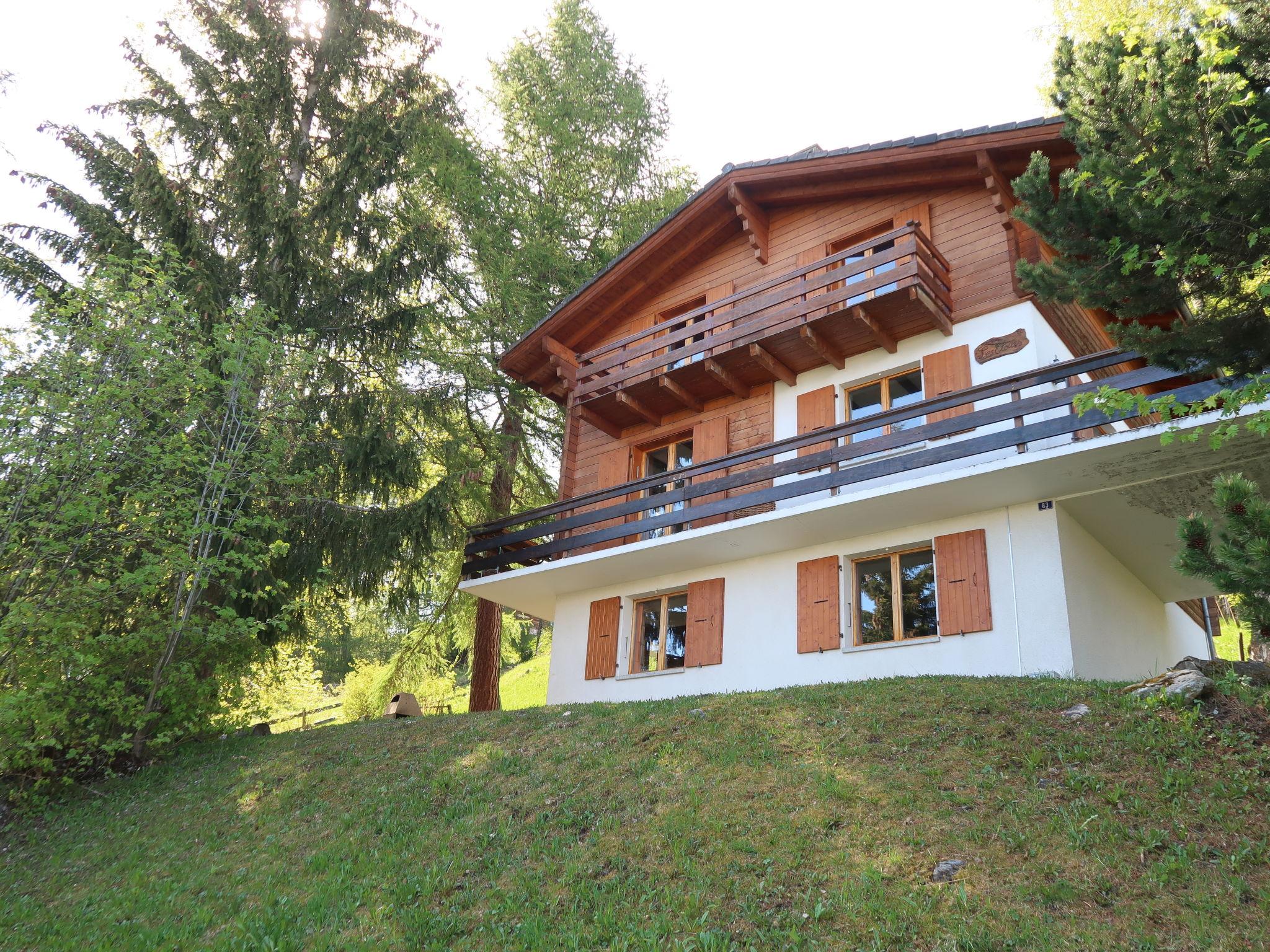 Foto 3 - Casa de 4 habitaciones en Nendaz con jardín y vistas a la montaña