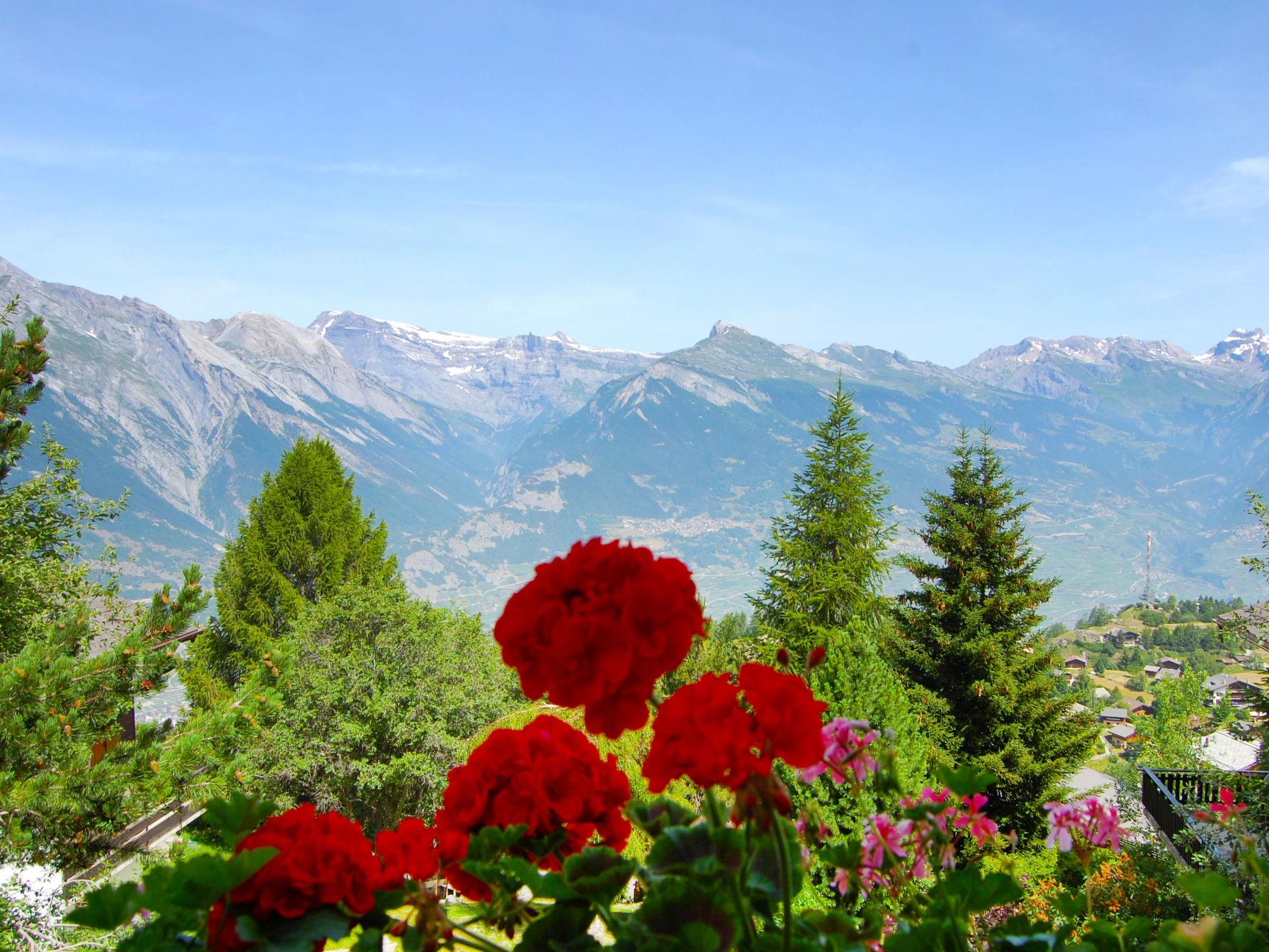 Foto 3 - Casa con 4 camere da letto a Nendaz con giardino e terrazza