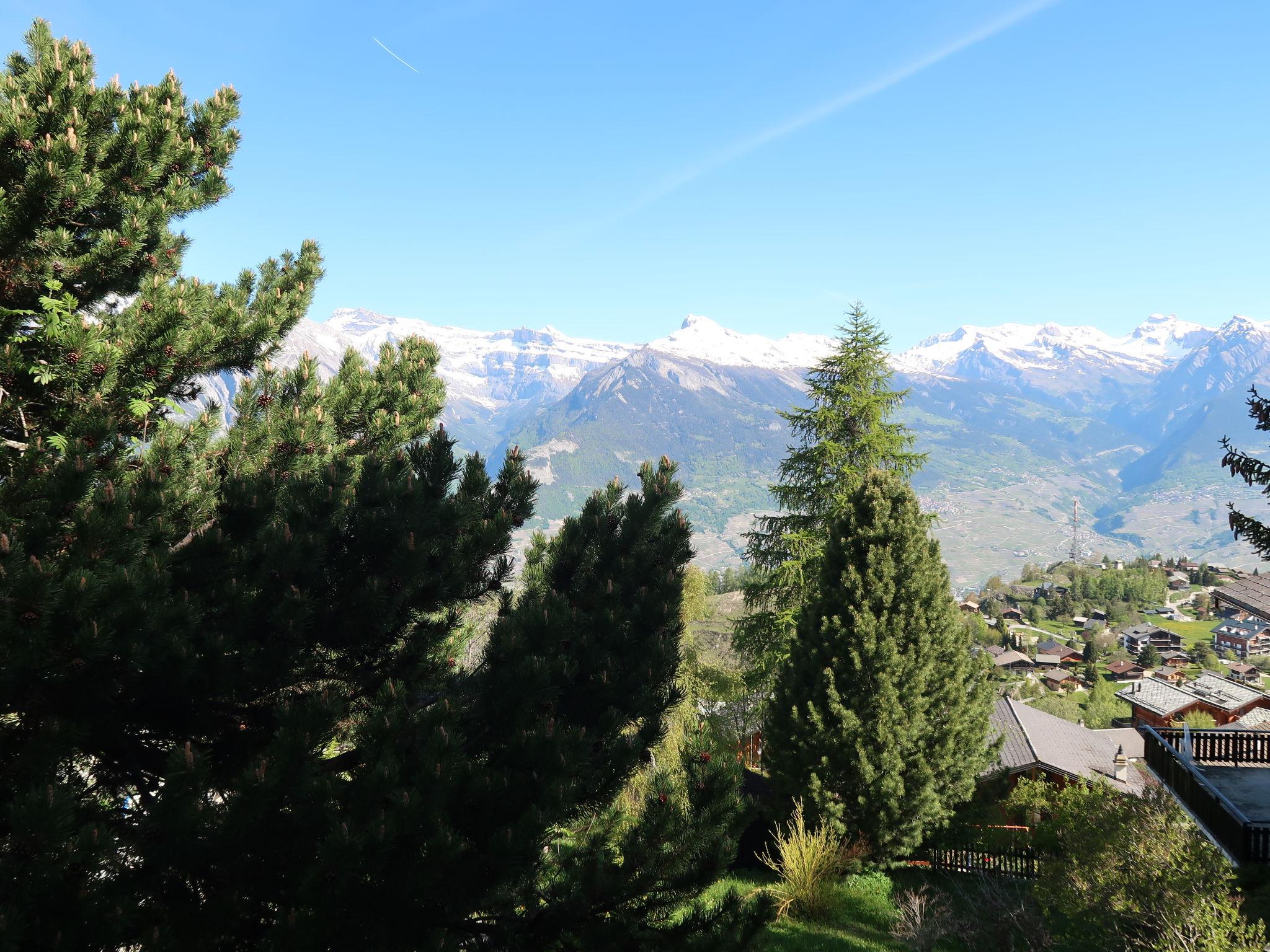 Foto 20 - Casa de 4 quartos em Nendaz com jardim e terraço