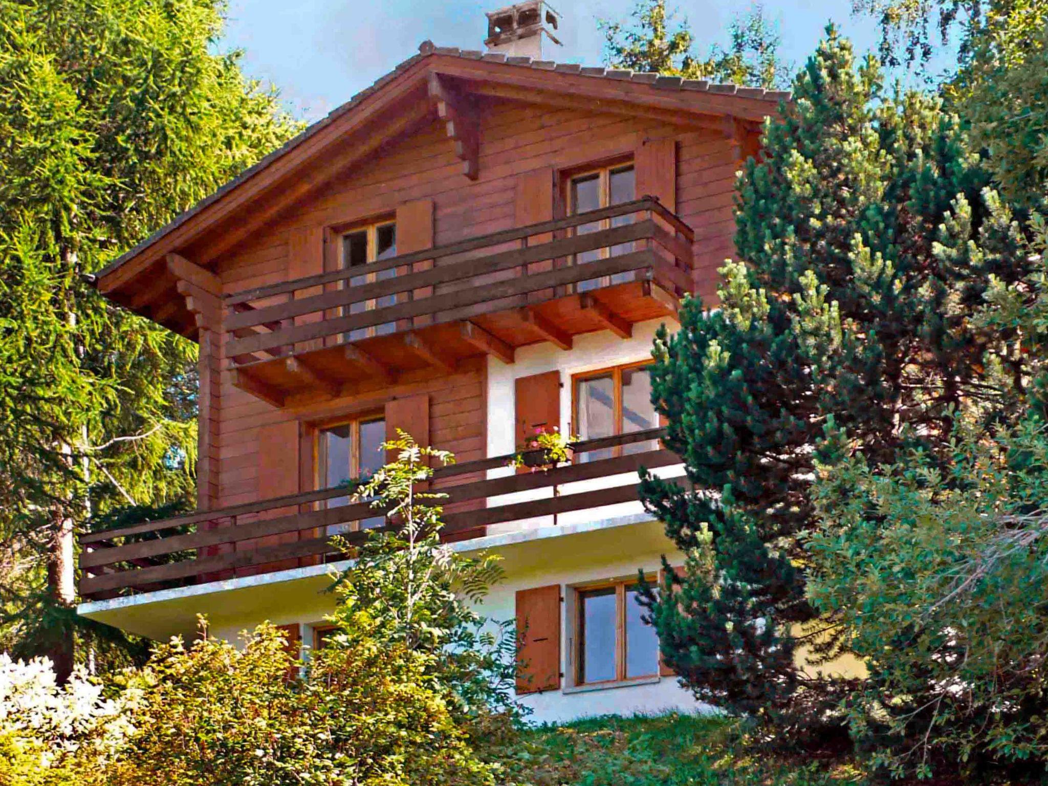 Foto 1 - Casa de 4 quartos em Nendaz com jardim e vista para a montanha