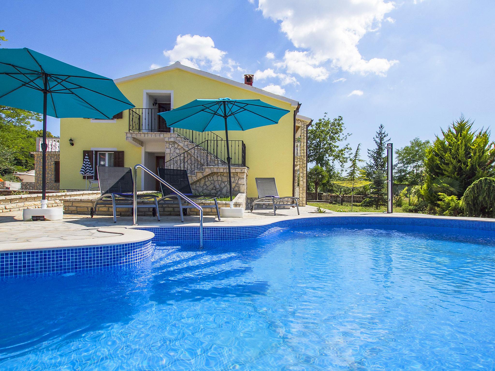 Foto 1 - Casa con 5 camere da letto a Labin con piscina privata e vista mare