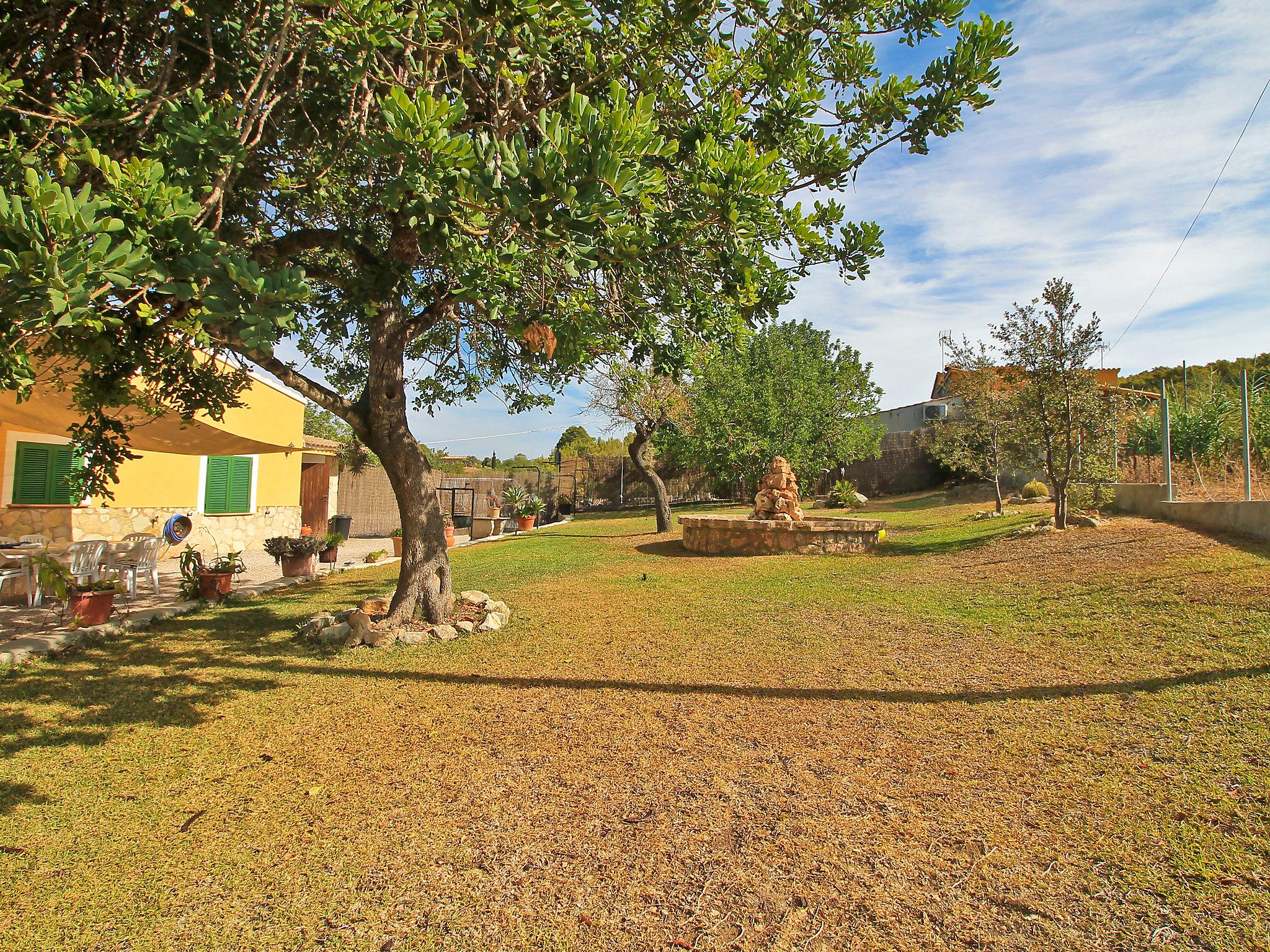 Photo 28 - 3 bedroom House in Alcúdia with private pool and garden