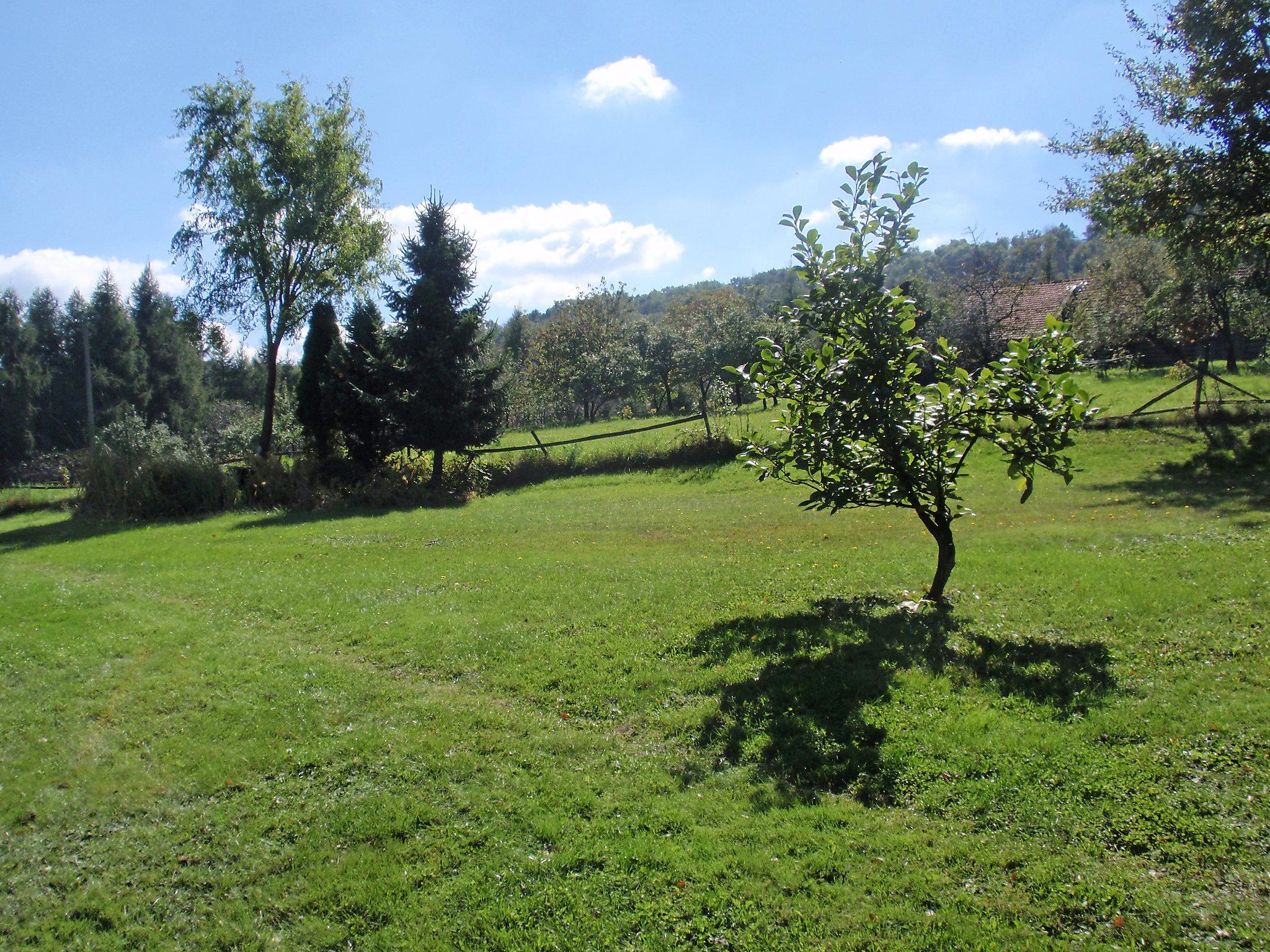 Photo 5 - Appartement de 3 chambres à Brzeźnica avec jardin et vues sur la montagne