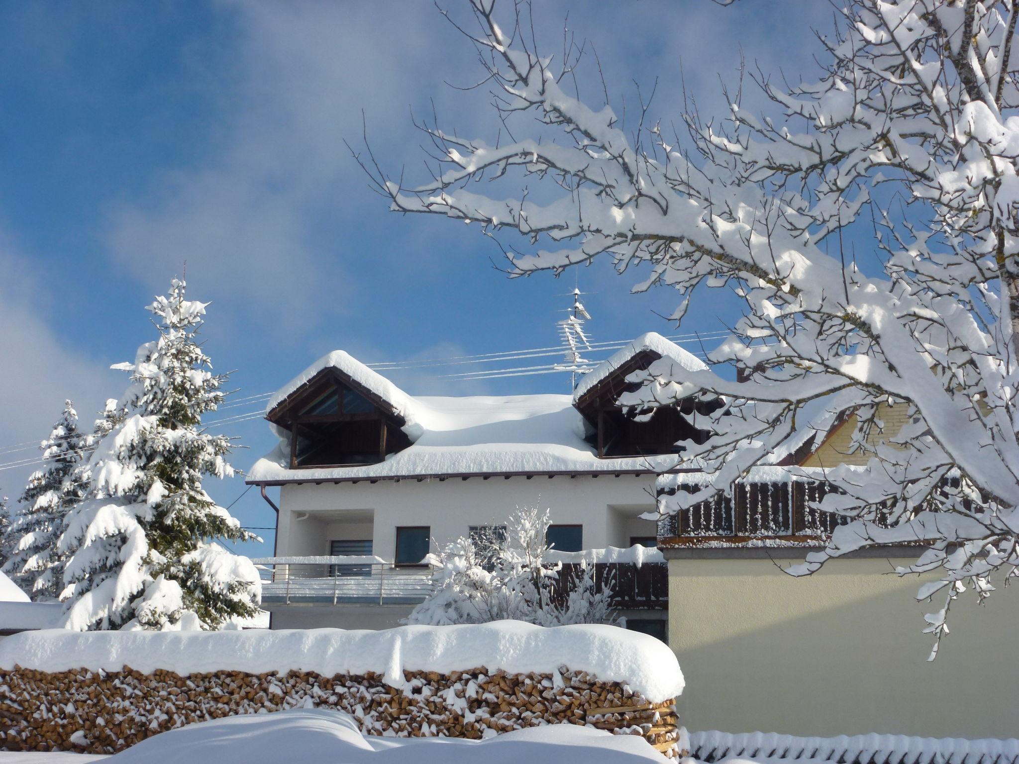 Photo 16 - 2 bedroom Apartment in Löffingen with garden and mountain view