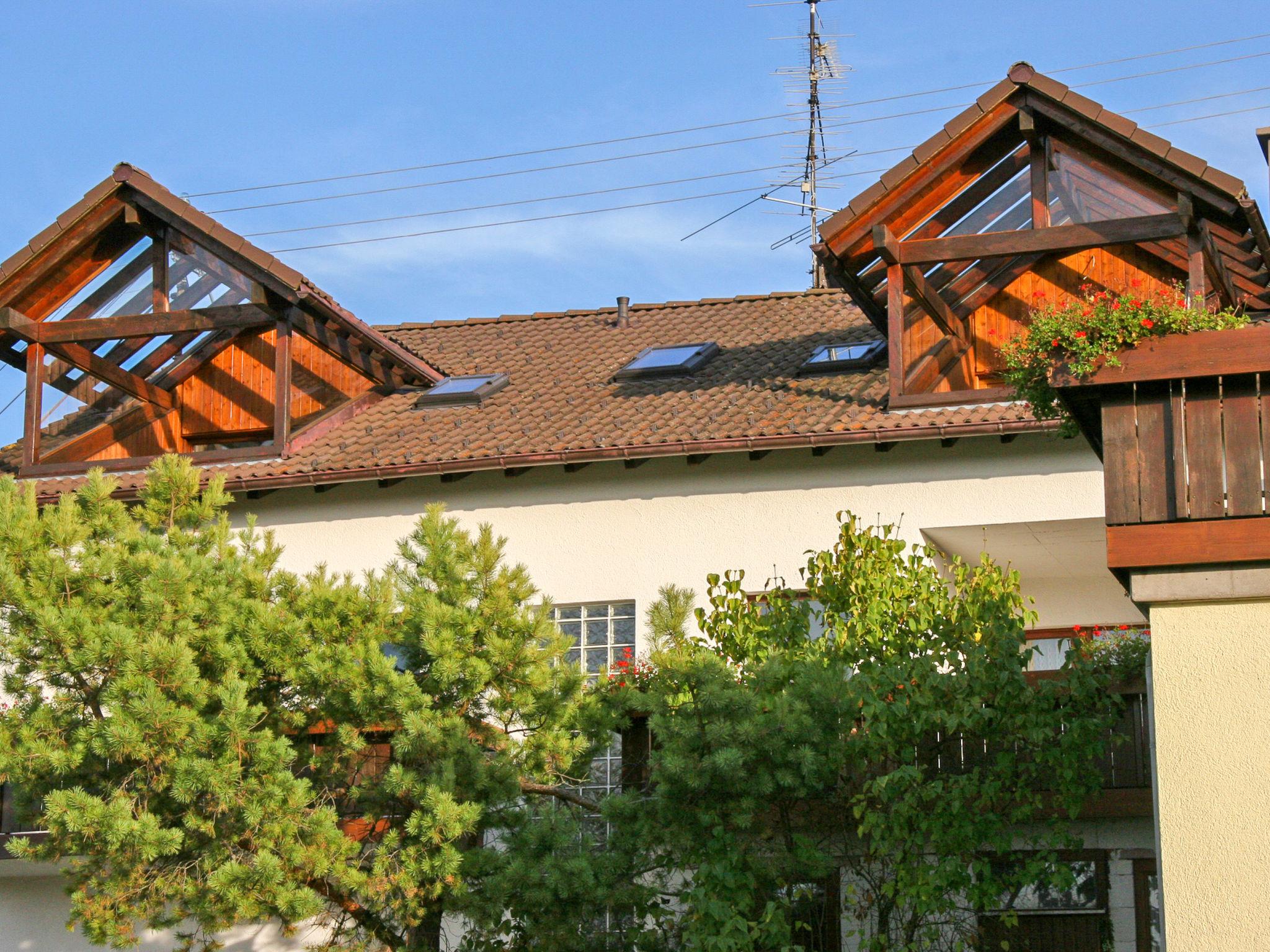 Foto 1 - Appartamento con 2 camere da letto a Löffingen con giardino e vista sulle montagne