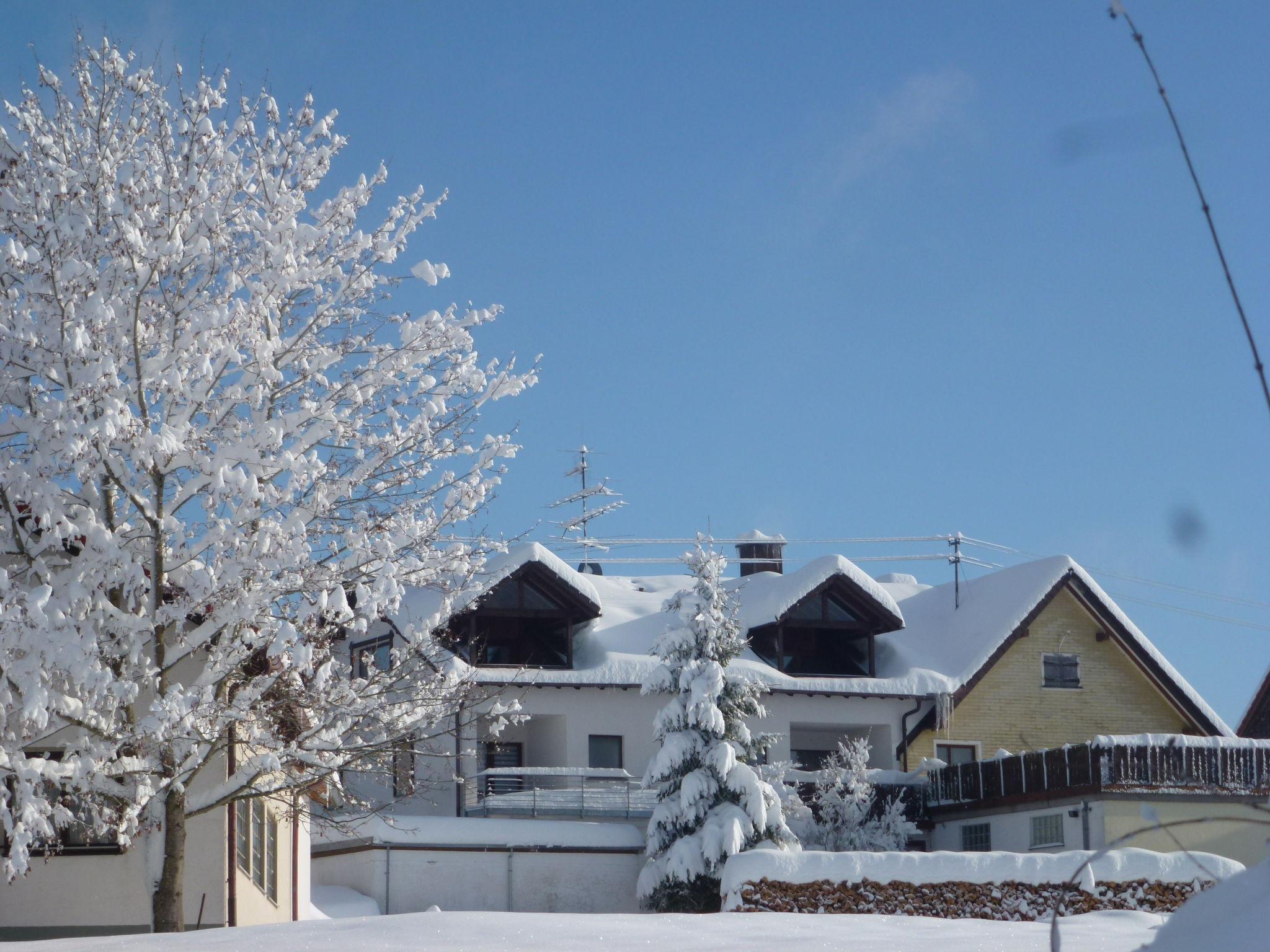 Foto 15 - Apartamento de 2 quartos em Löffingen com jardim e vista para a montanha