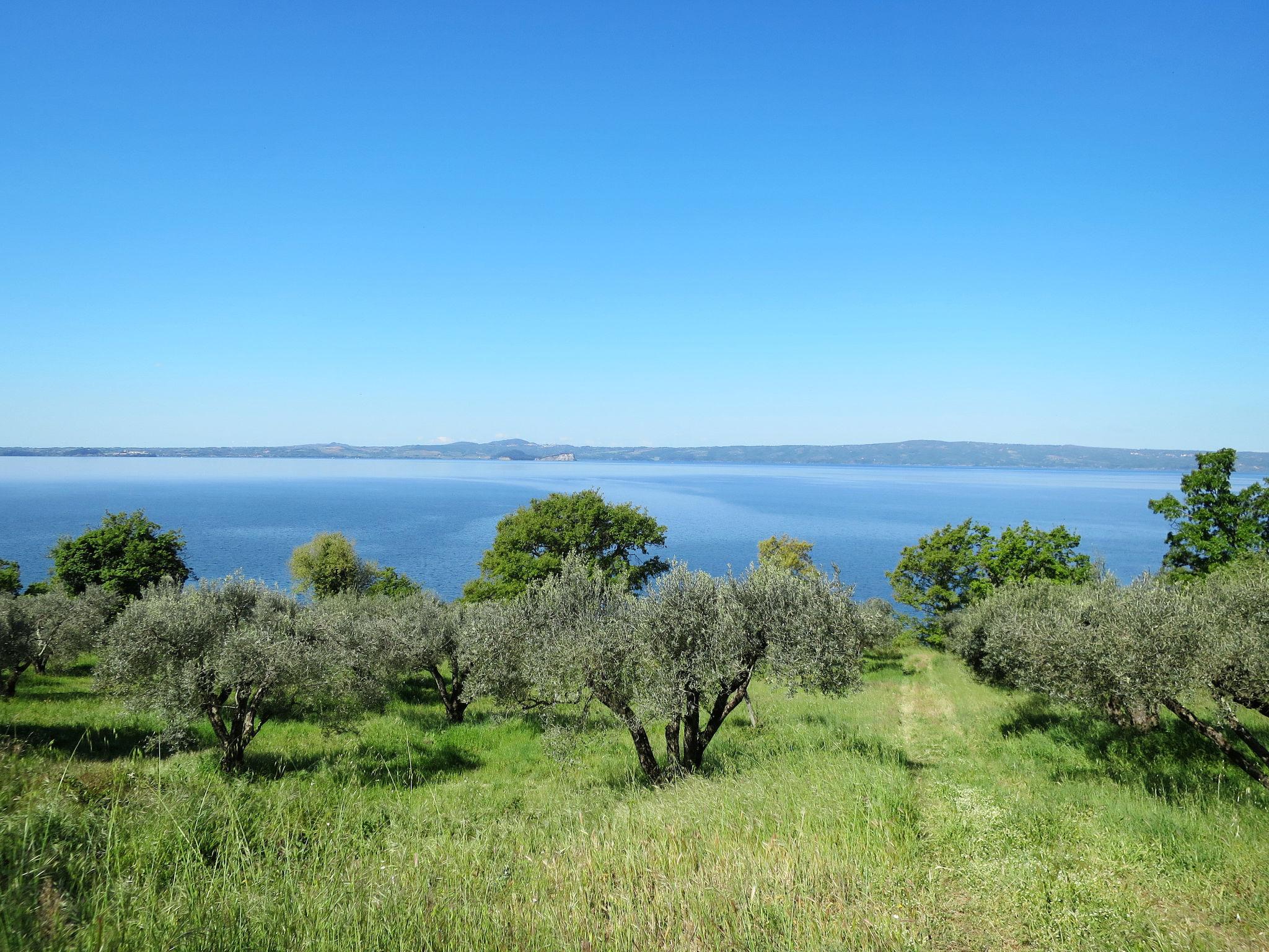 Foto 10 - Apartamento em Bolsena com piscina e jardim