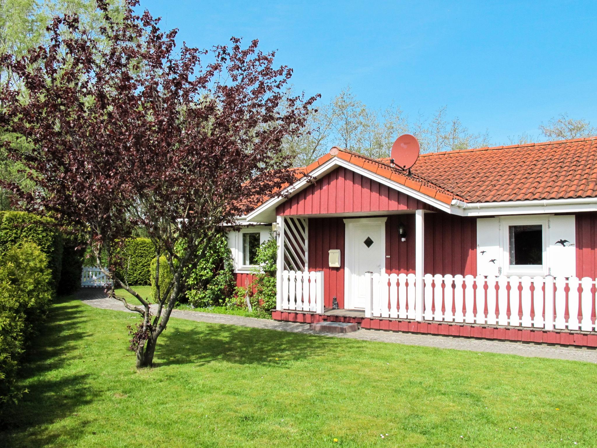 Photo 19 - Maison de 3 chambres à Otterndorf avec jardin et terrasse