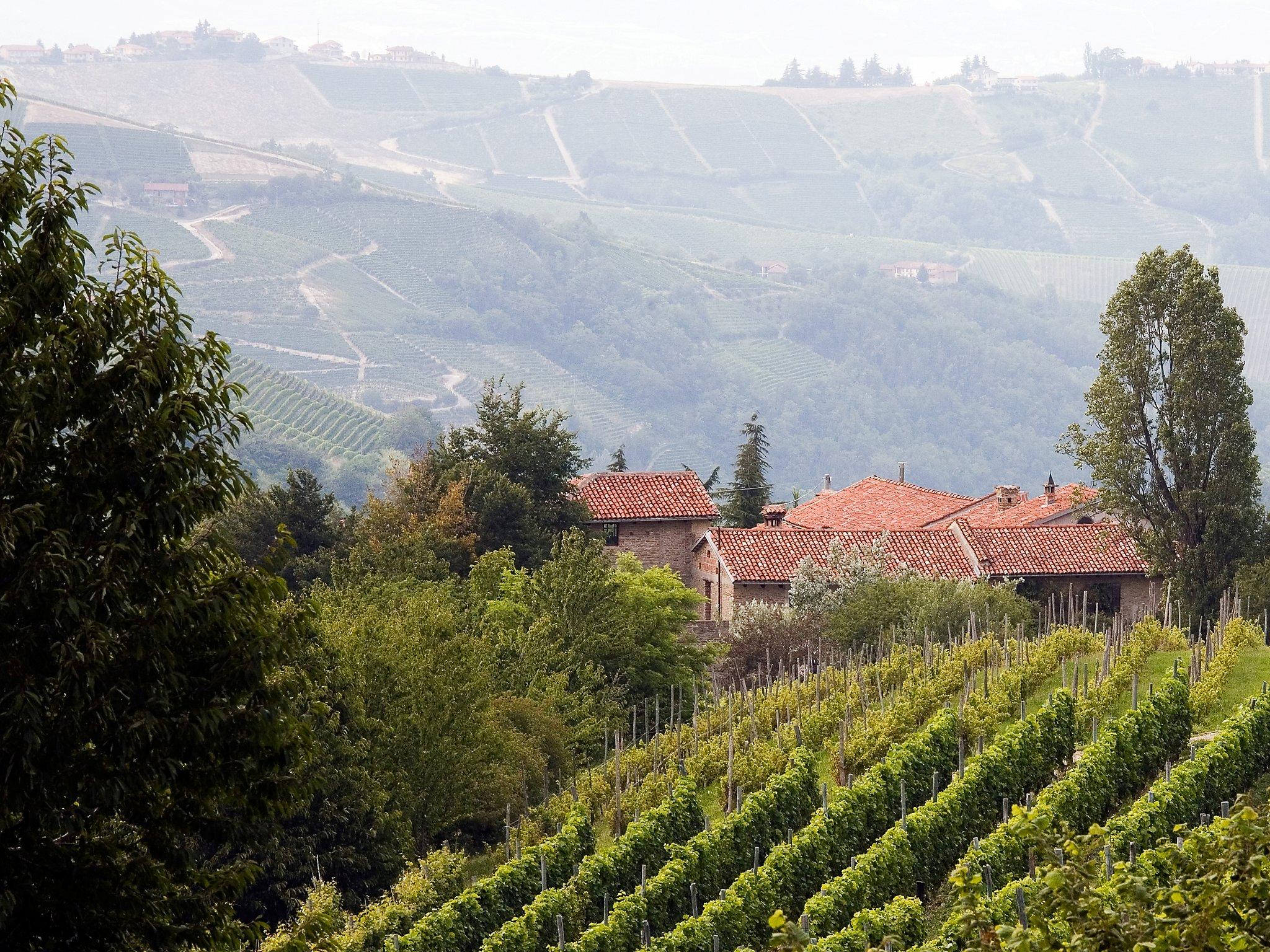 Foto 44 - Haus mit 5 Schlafzimmern in Trezzo Tinella mit privater pool und garten