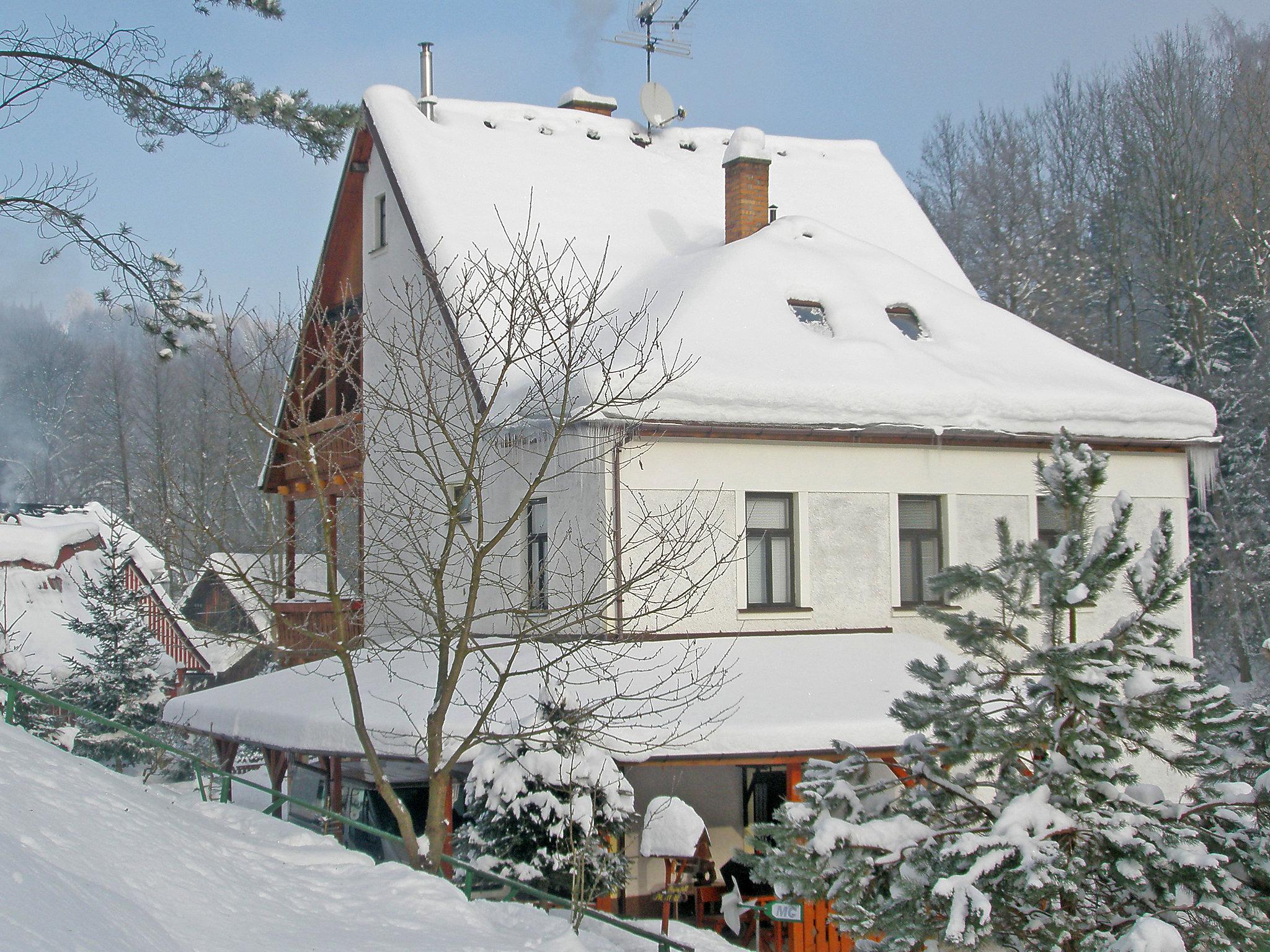 Foto 33 - Casa con 2 camere da letto a Zlatá Olešnice con giardino e terrazza