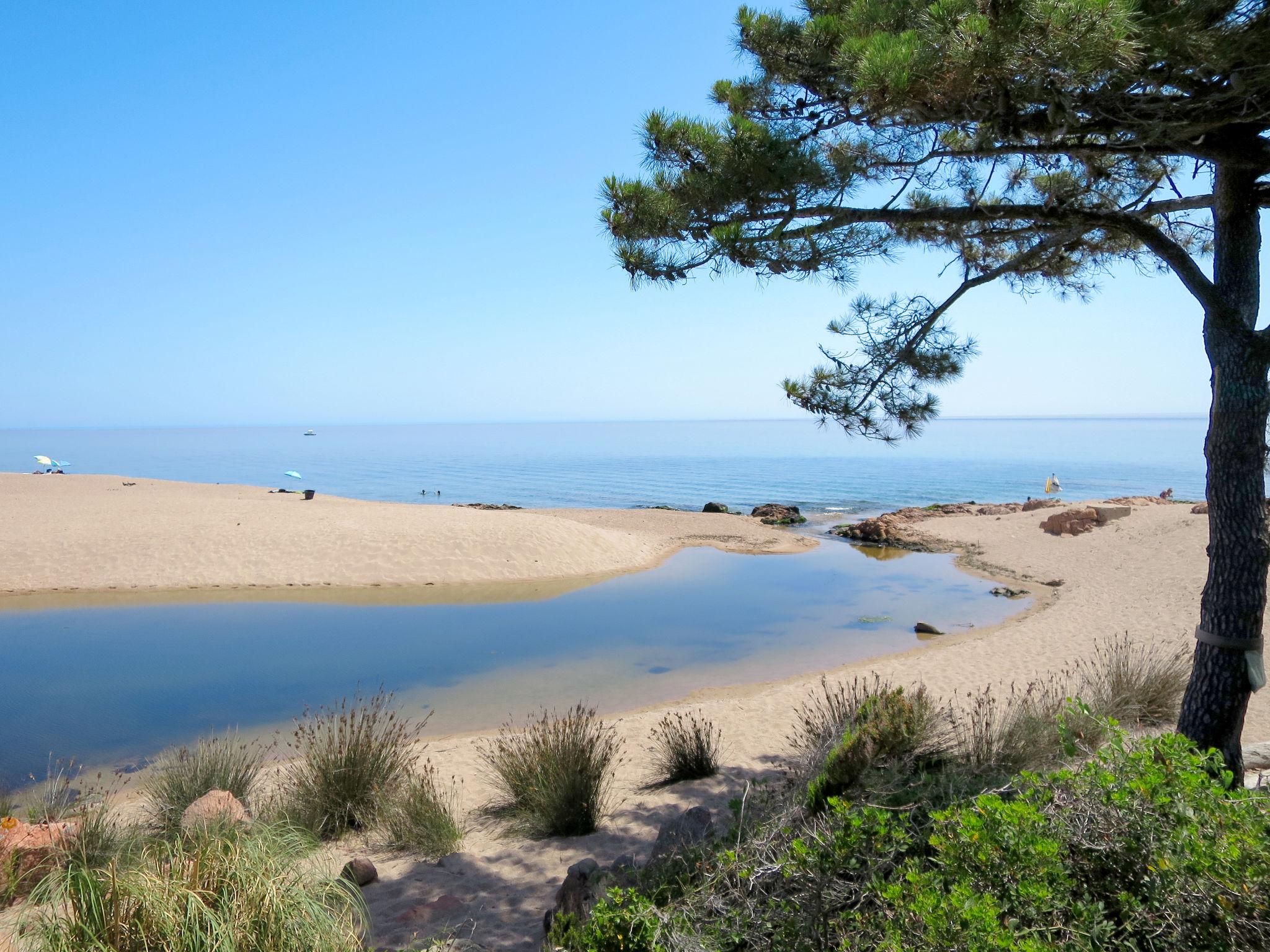 Foto 15 - Haus mit 1 Schlafzimmer in Zonza mit schwimmbad und blick aufs meer