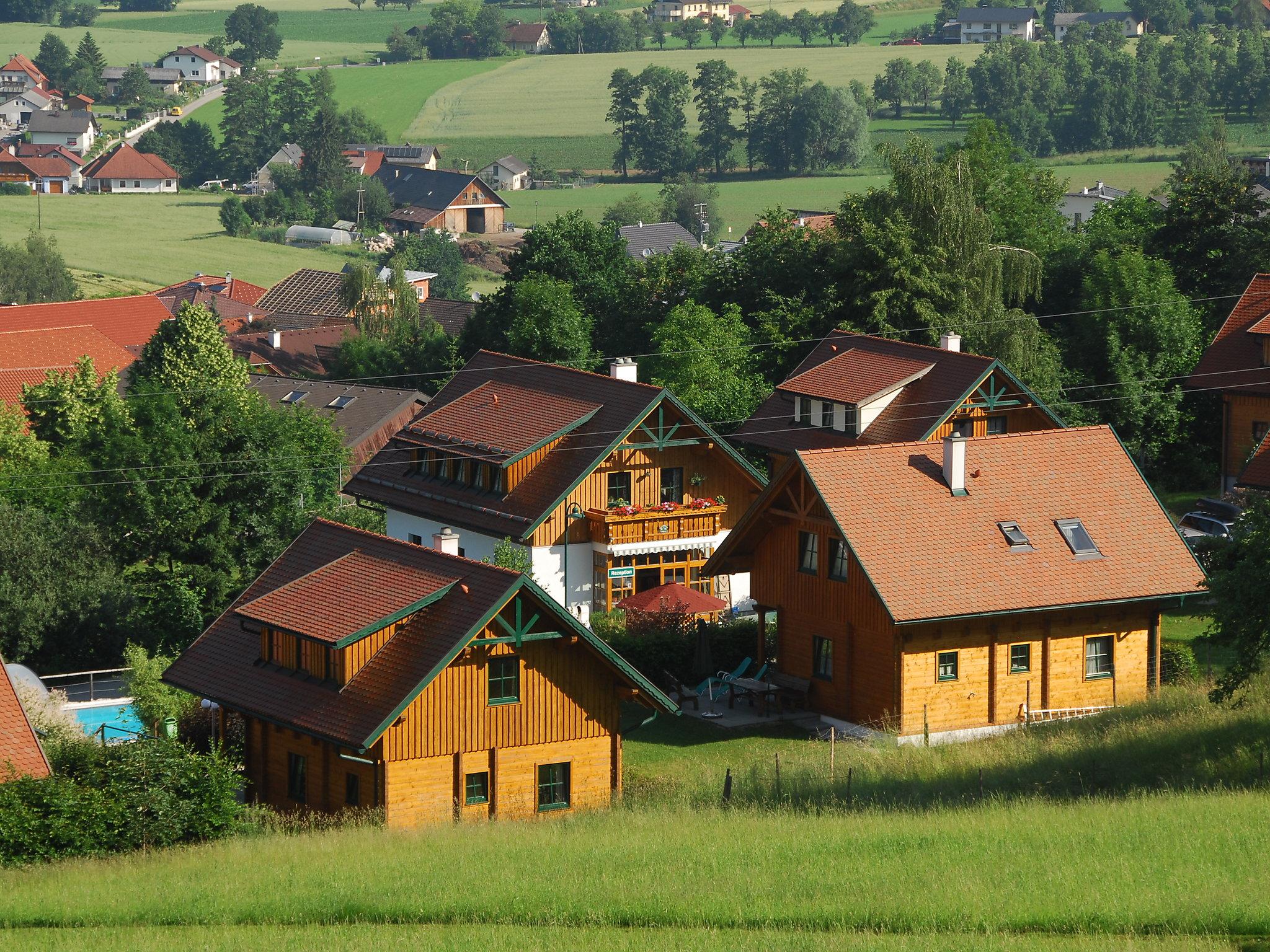 Photo 31 - Maison de 2 chambres à Schlierbach avec piscine et jardin