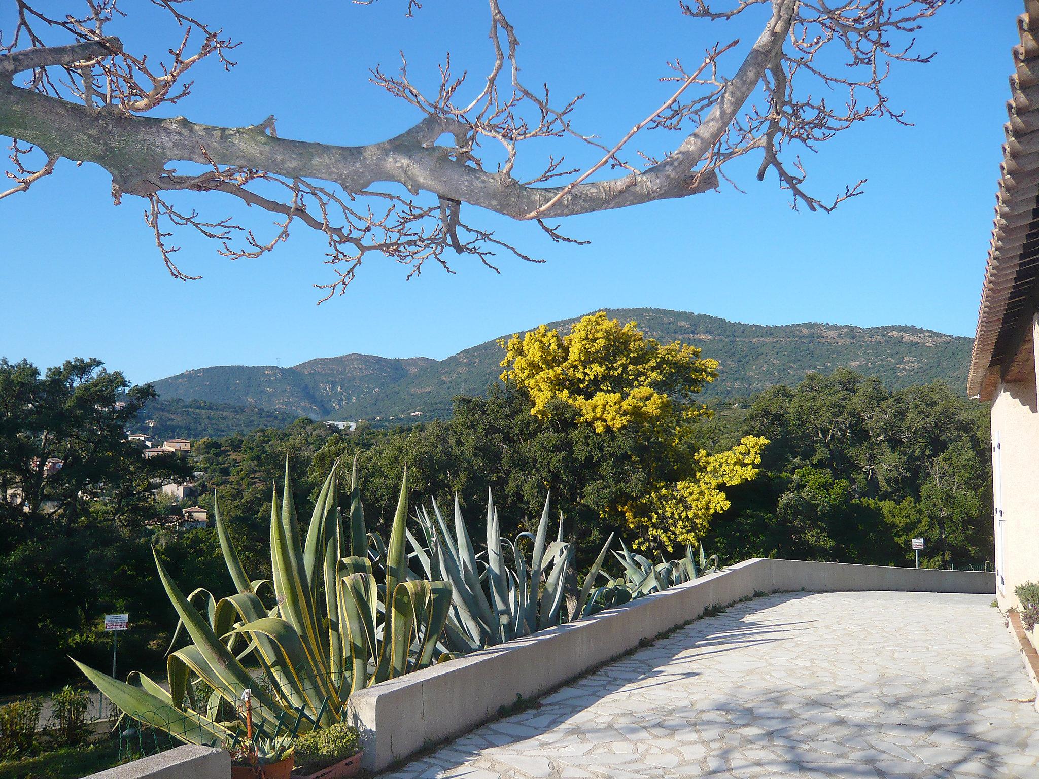 Foto 19 - Haus mit 3 Schlafzimmern in Cavalaire-sur-Mer mit garten und blick aufs meer