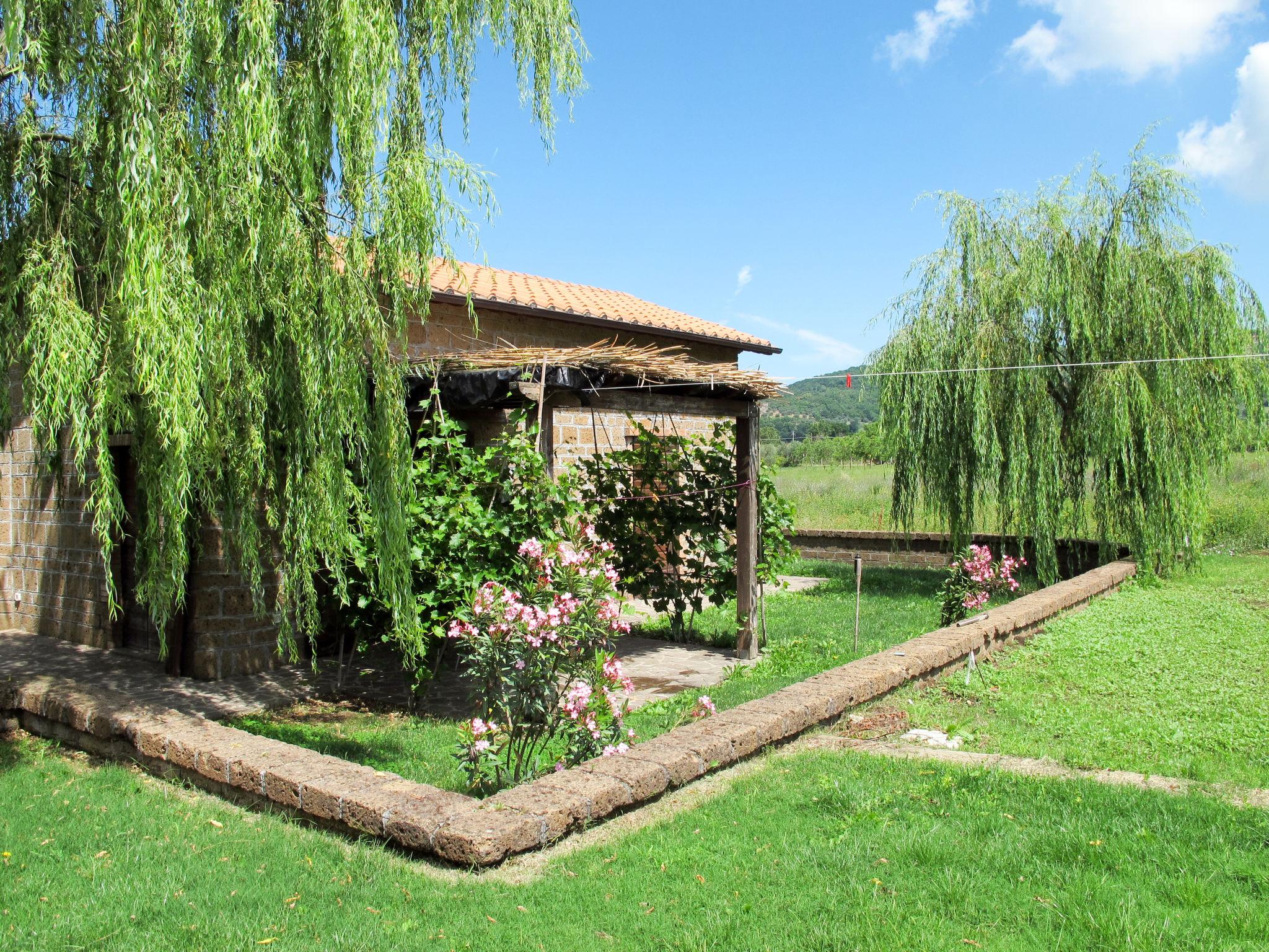 Foto 16 - Apartamento de 3 quartos em Montefiascone com piscina e jardim