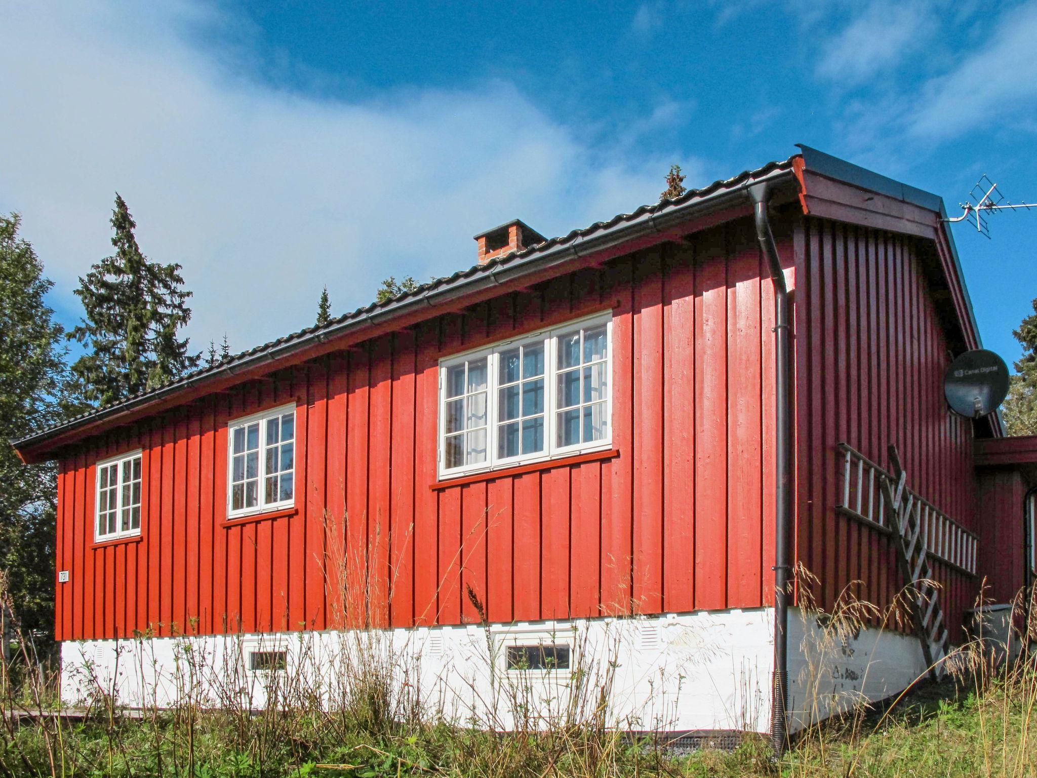 Photo 1 - Maison de 3 chambres à Svingvoll avec jardin
