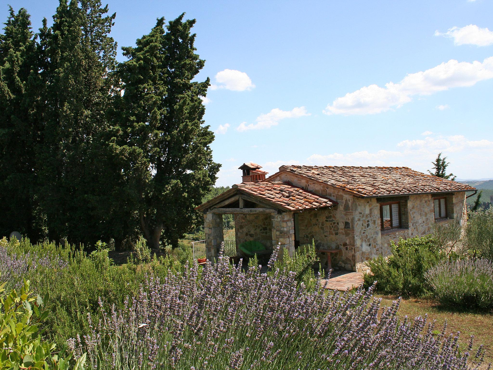 Foto 25 - Haus mit 3 Schlafzimmern in San Casciano in Val di Pesa mit schwimmbad und garten