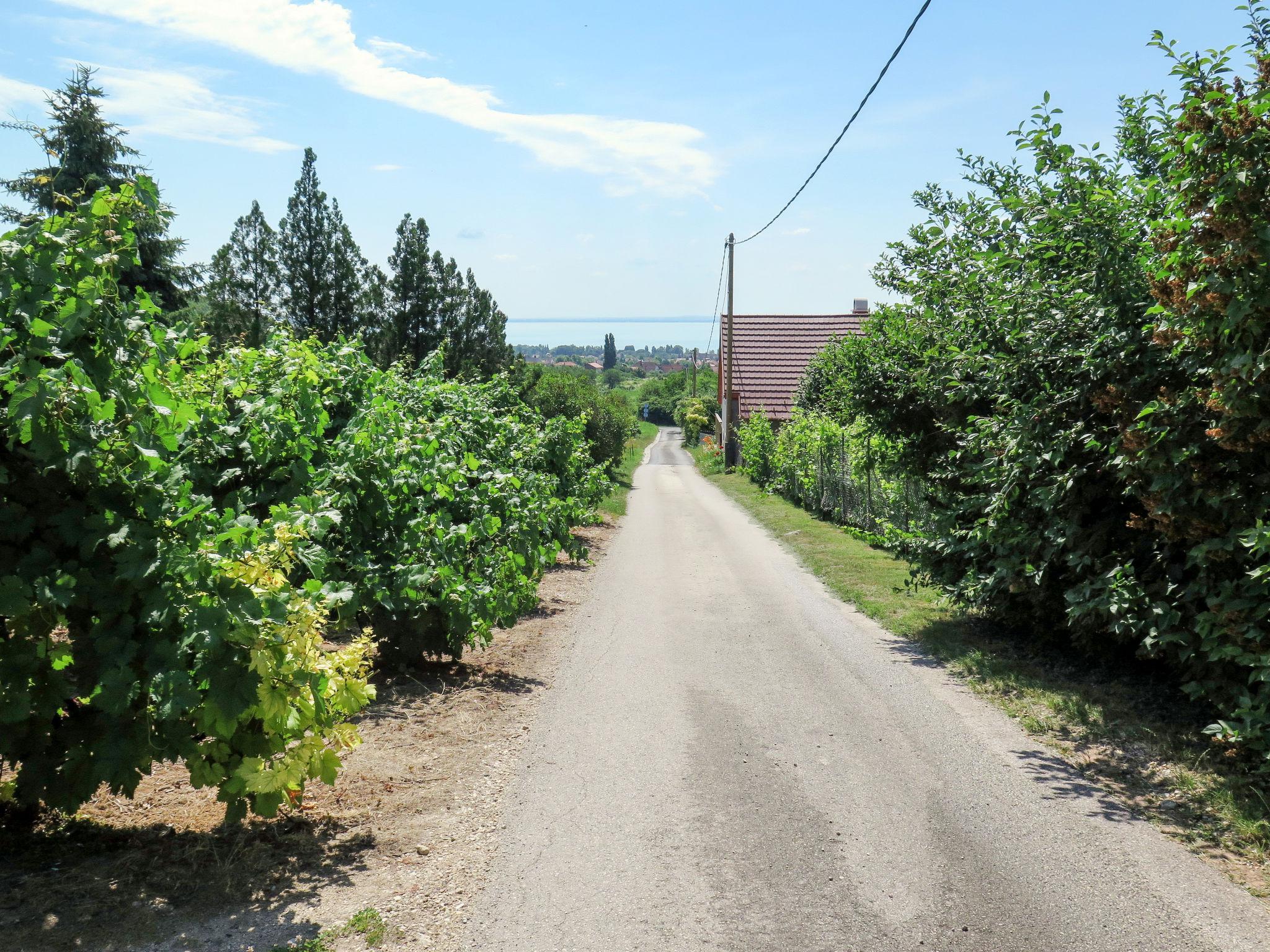 Foto 19 - Haus mit 2 Schlafzimmern in Felsőörs mit garten und blick auf die berge