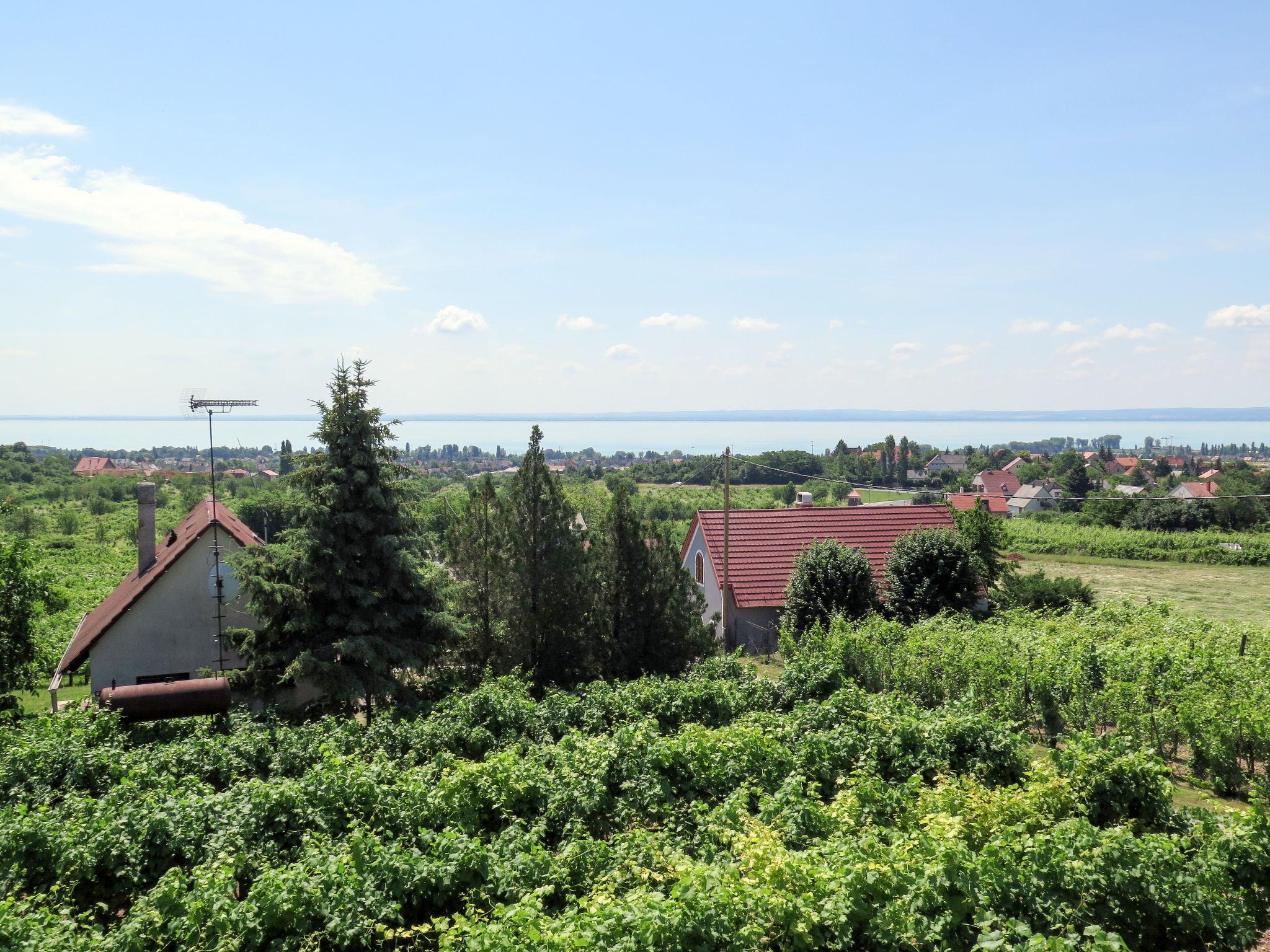 Foto 5 - Casa de 2 quartos em Felsőörs com jardim e vista para a montanha