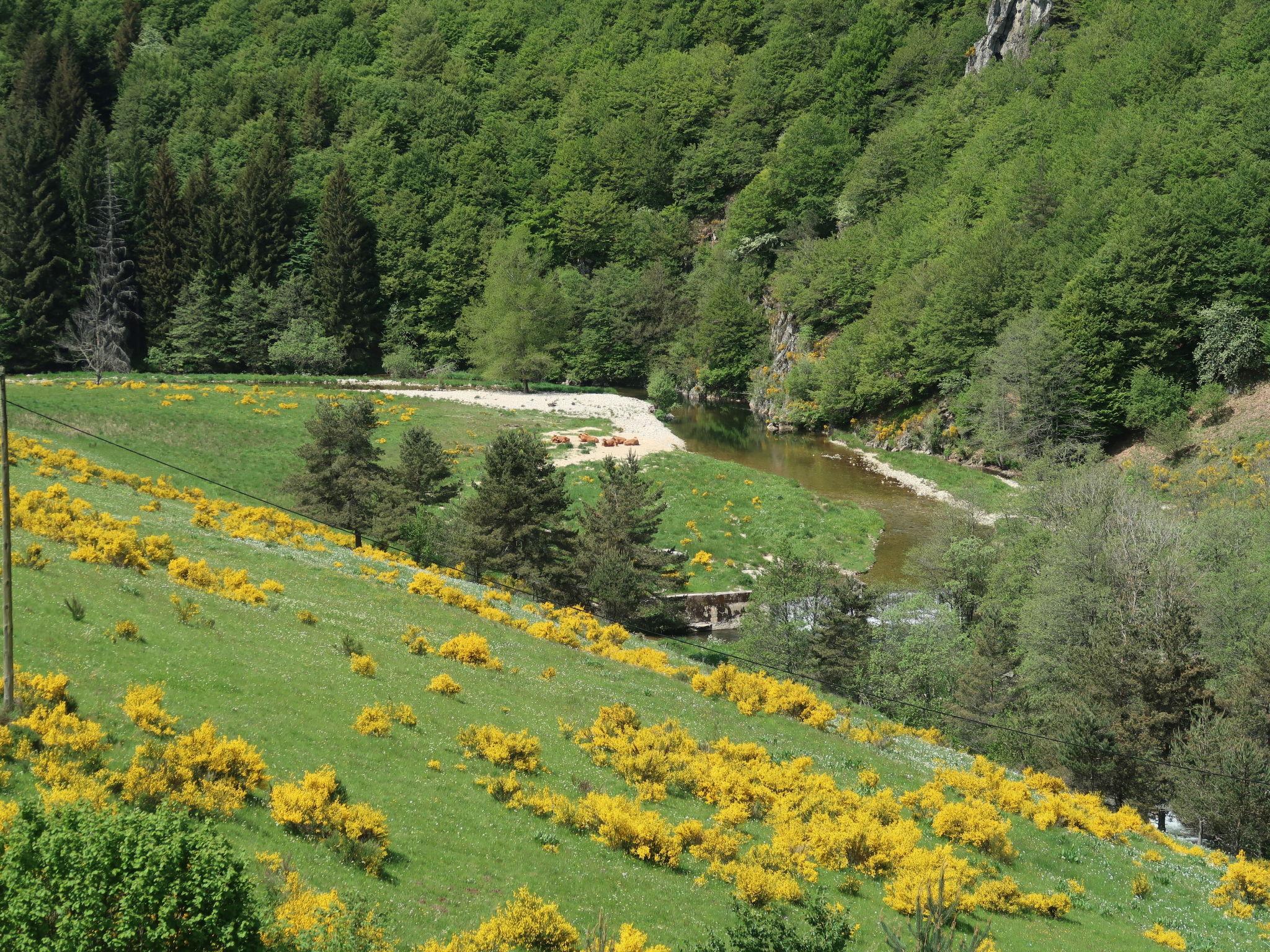 Photo 23 - Maison de 2 chambres à Usclades-et-Rieutord avec jardin et terrasse