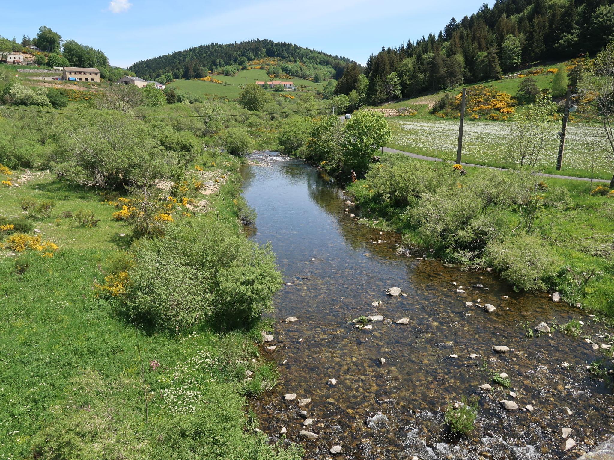 Photo 5 - 2 bedroom House in Usclades-et-Rieutord with garden and terrace