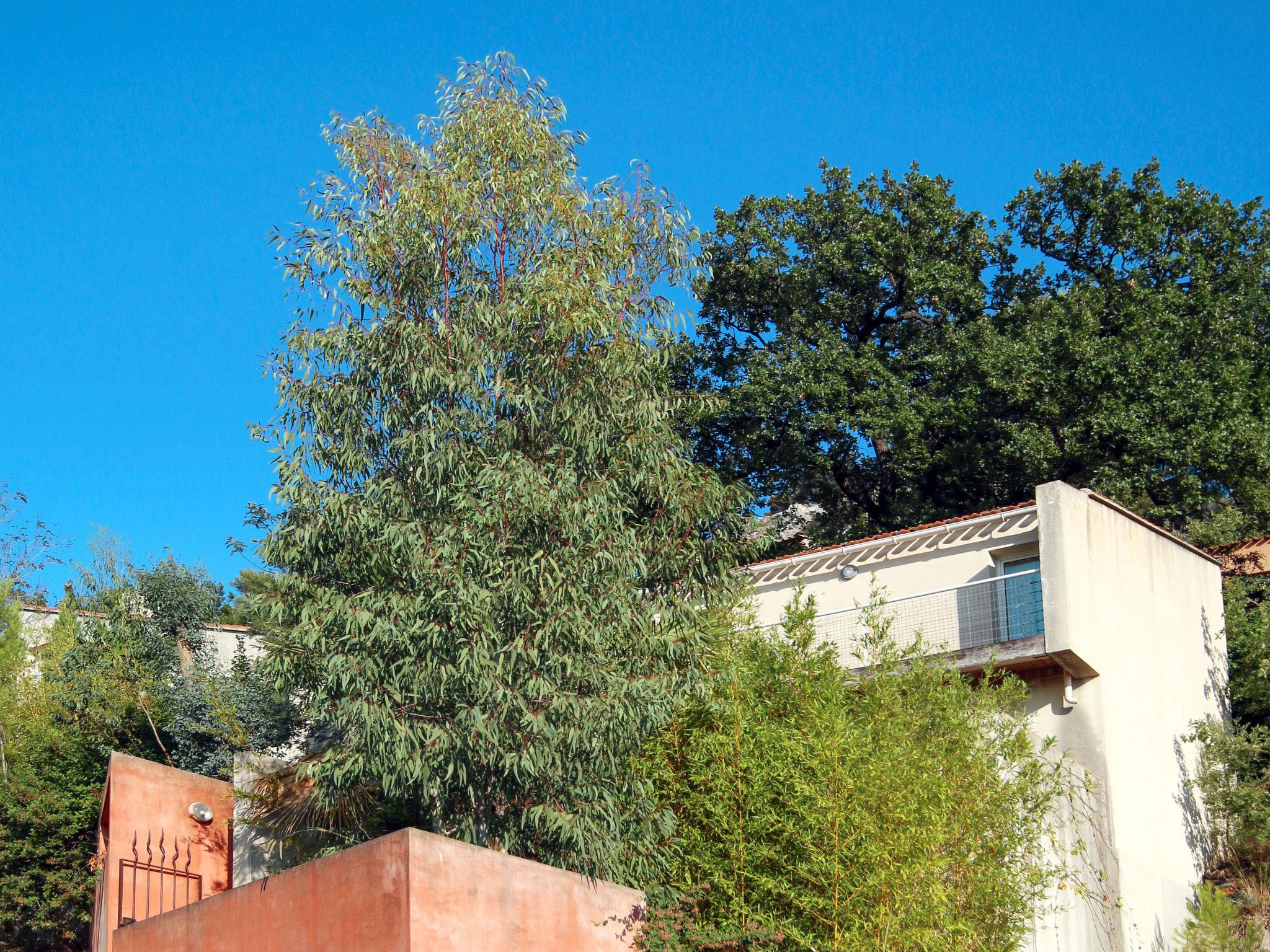 Photo 19 - Maison de 3 chambres à Hyères avec piscine privée et jardin